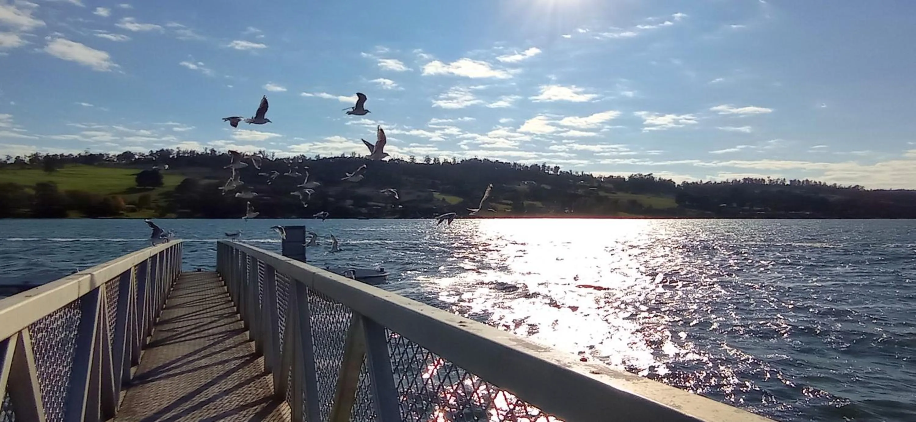 Rosevears Riverview Hotel