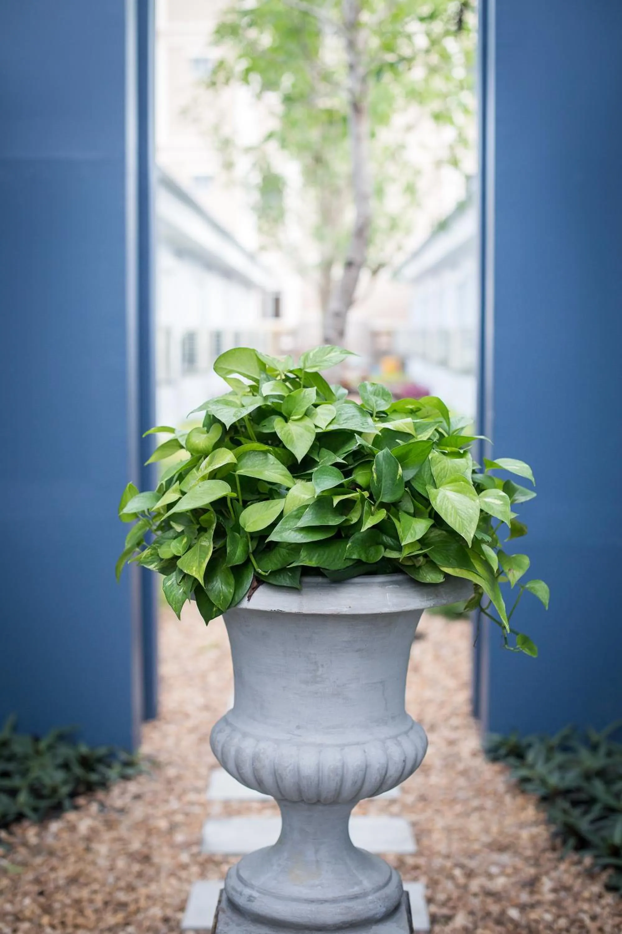 Facade/entrance in Pongsakorn Boutique Resort