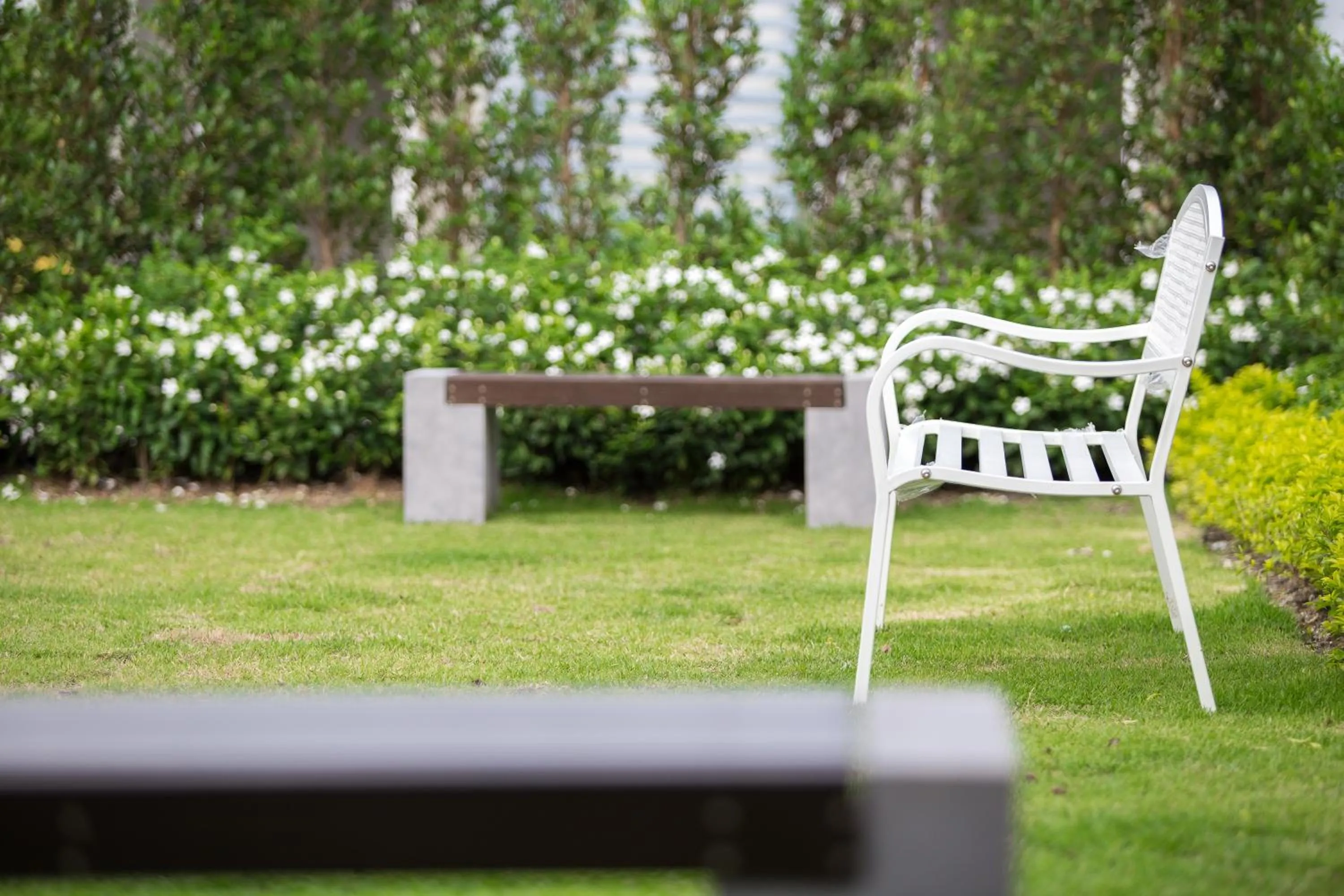 Garden in Pongsakorn Boutique Resort