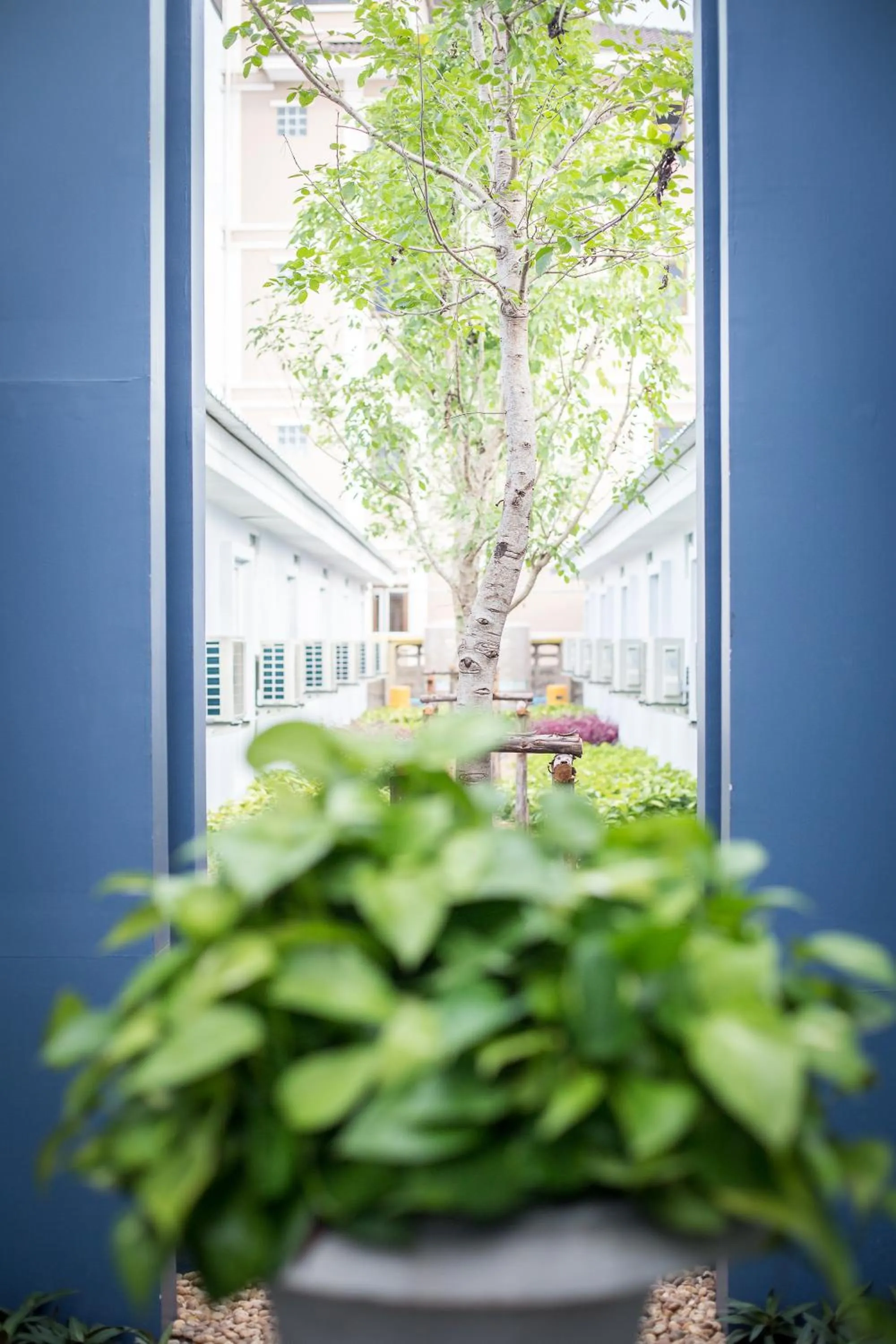 Garden view in Pongsakorn Boutique Resort