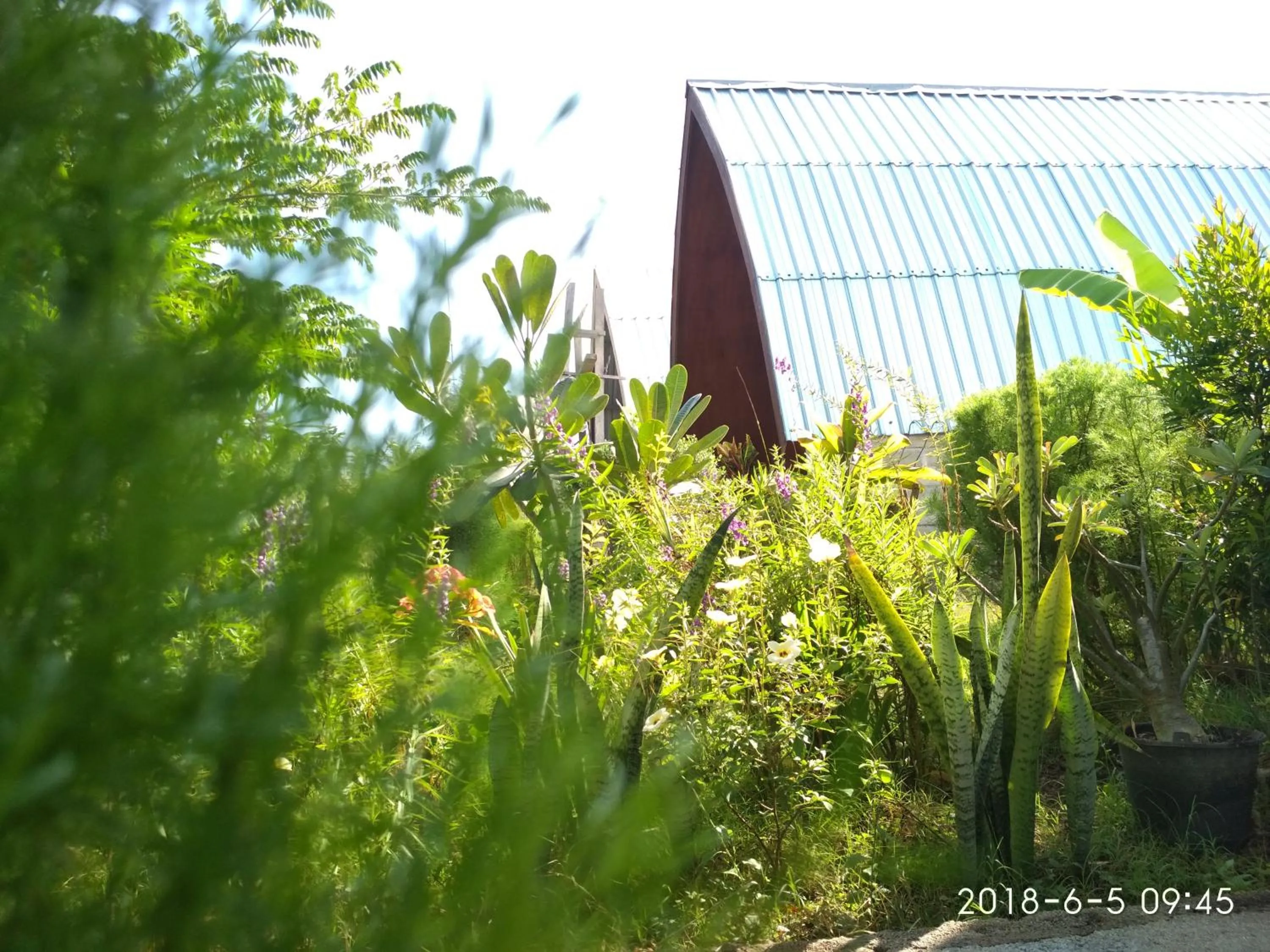 Spring in Cnunk Bungalow