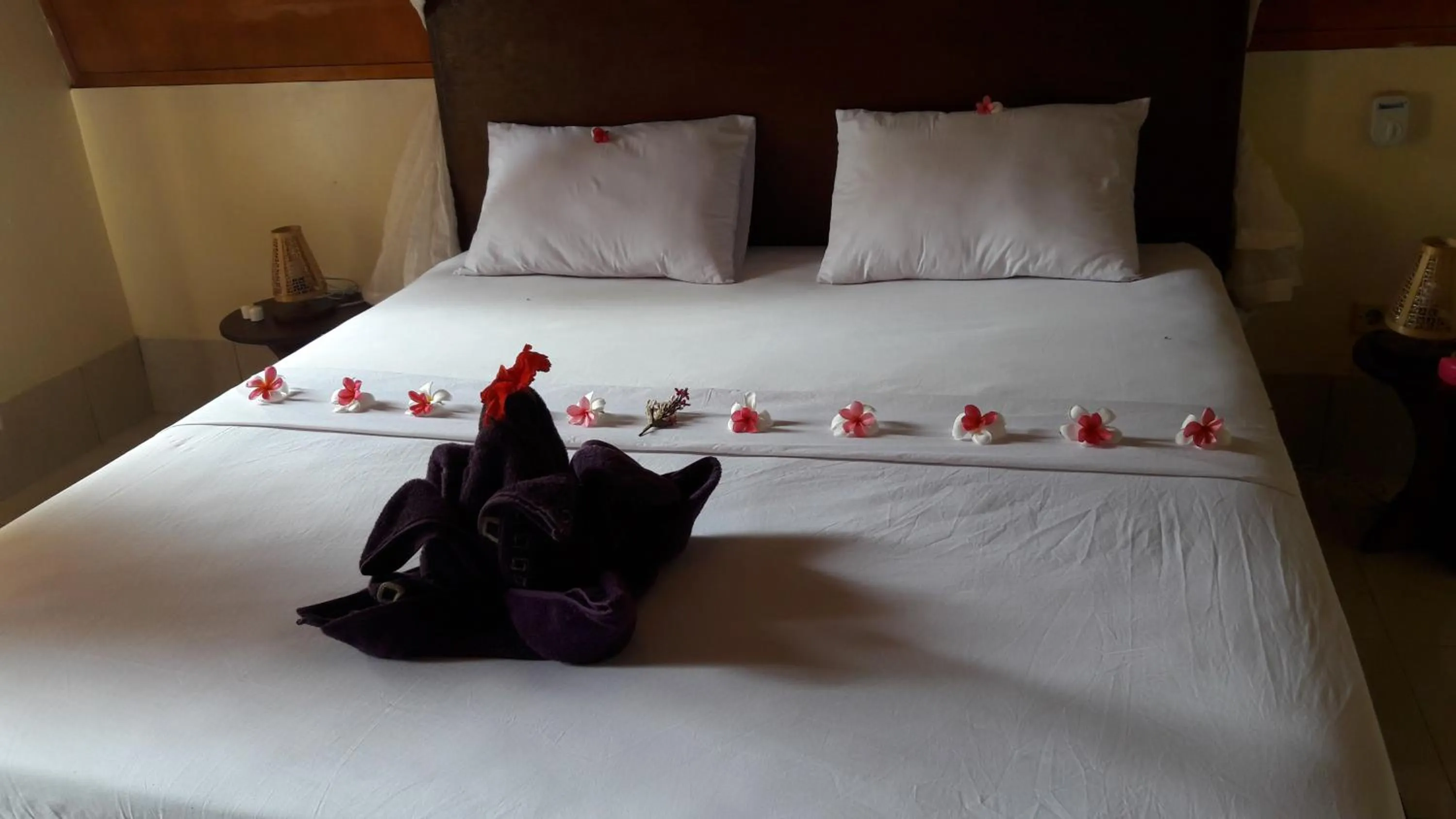 Spring, Bed in Cnunk Bungalow