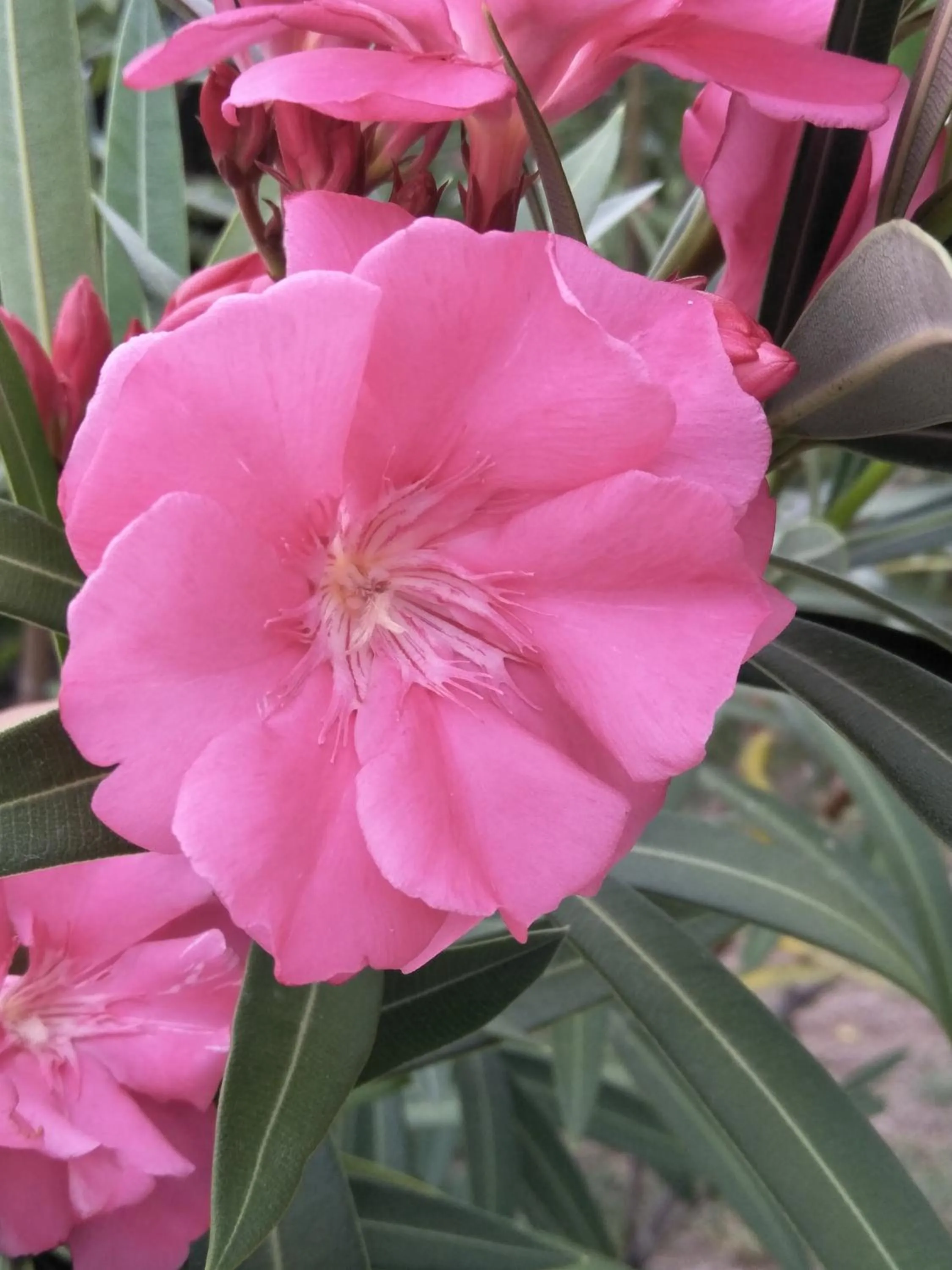 Winter in Cnunk Bungalow