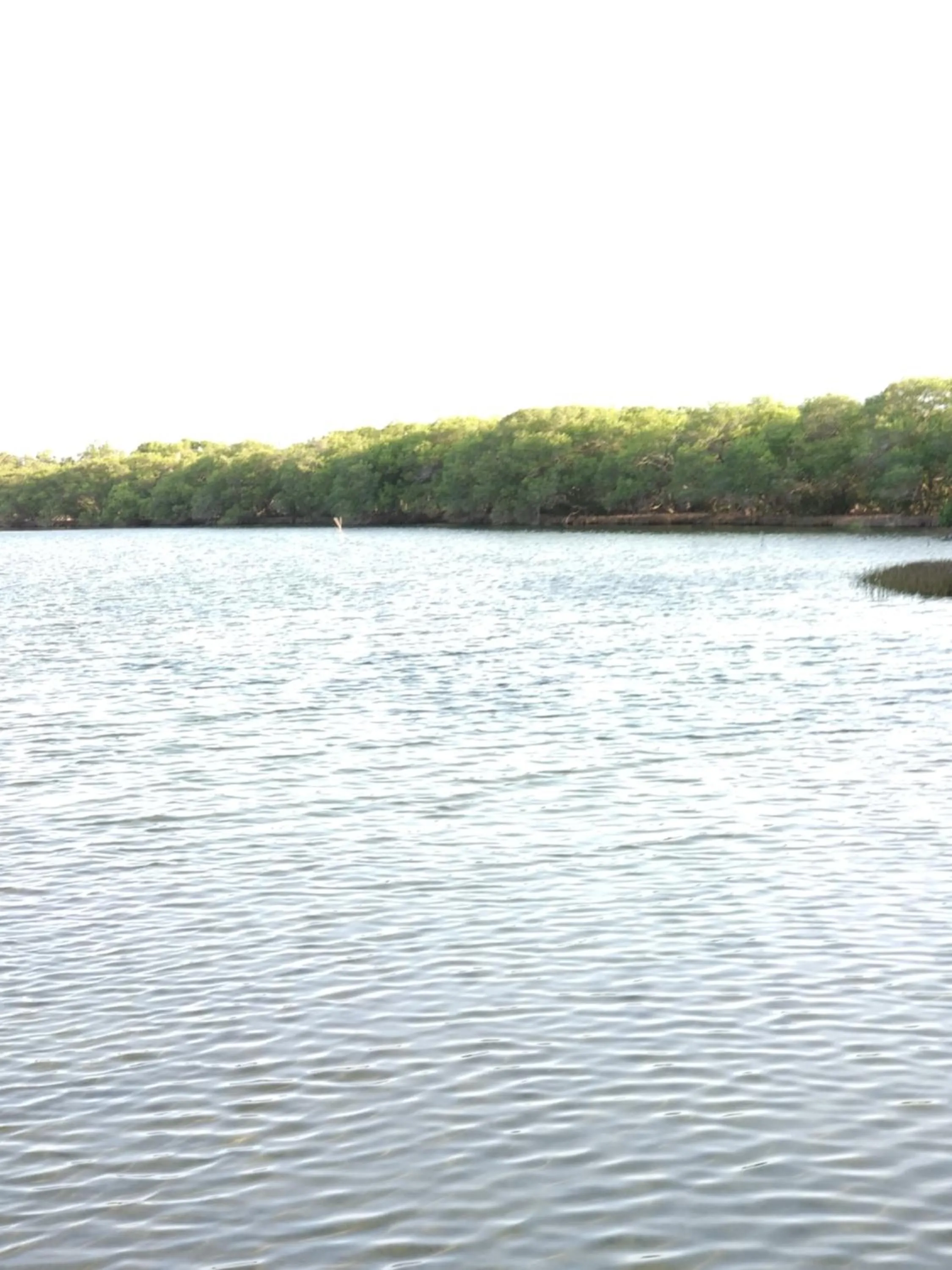 Natural landscape in Cnunk Bungalow