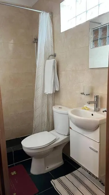 Albergaria Porcelana