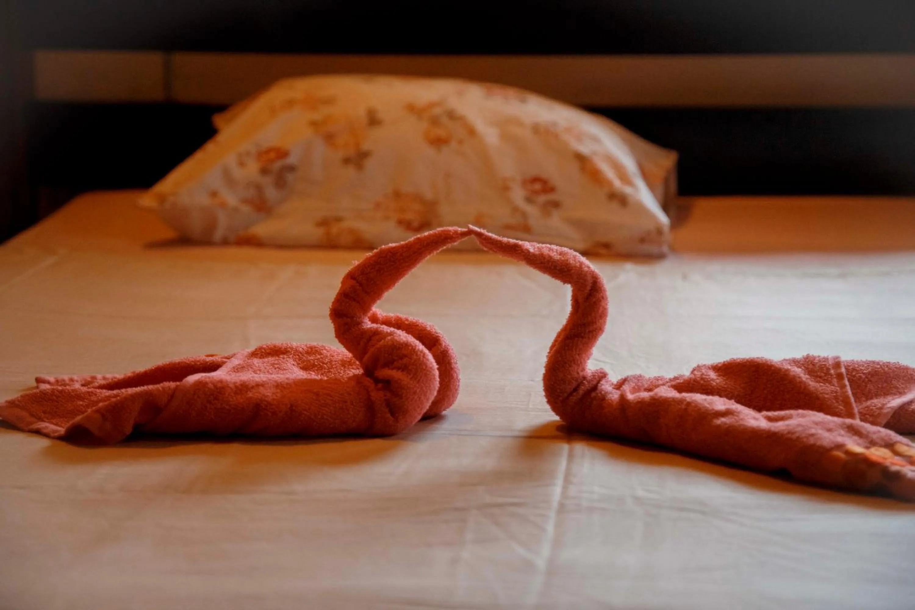 Bed in Albergaria Porcelana