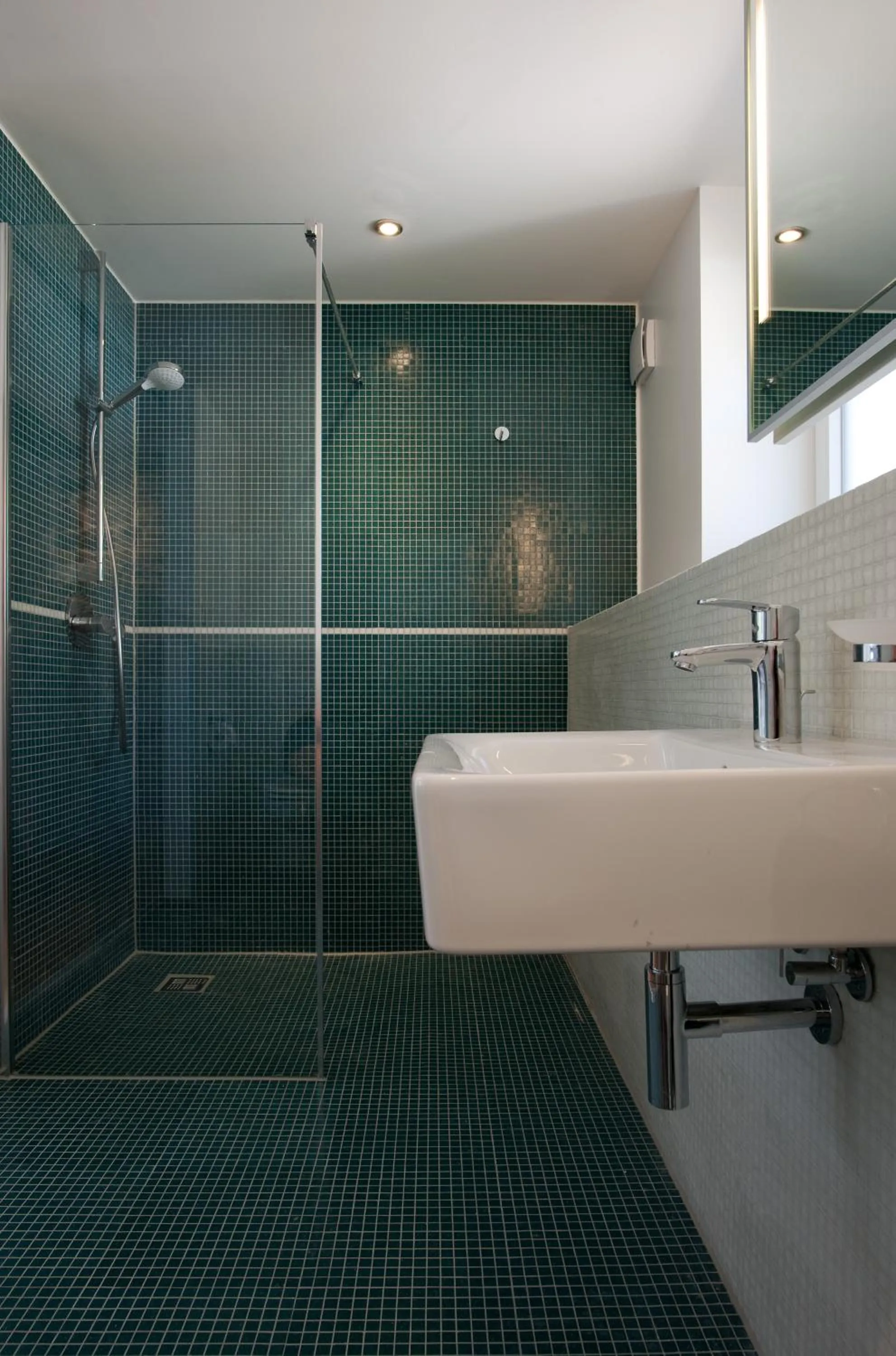 Shower in 1463 Apartmenthaus