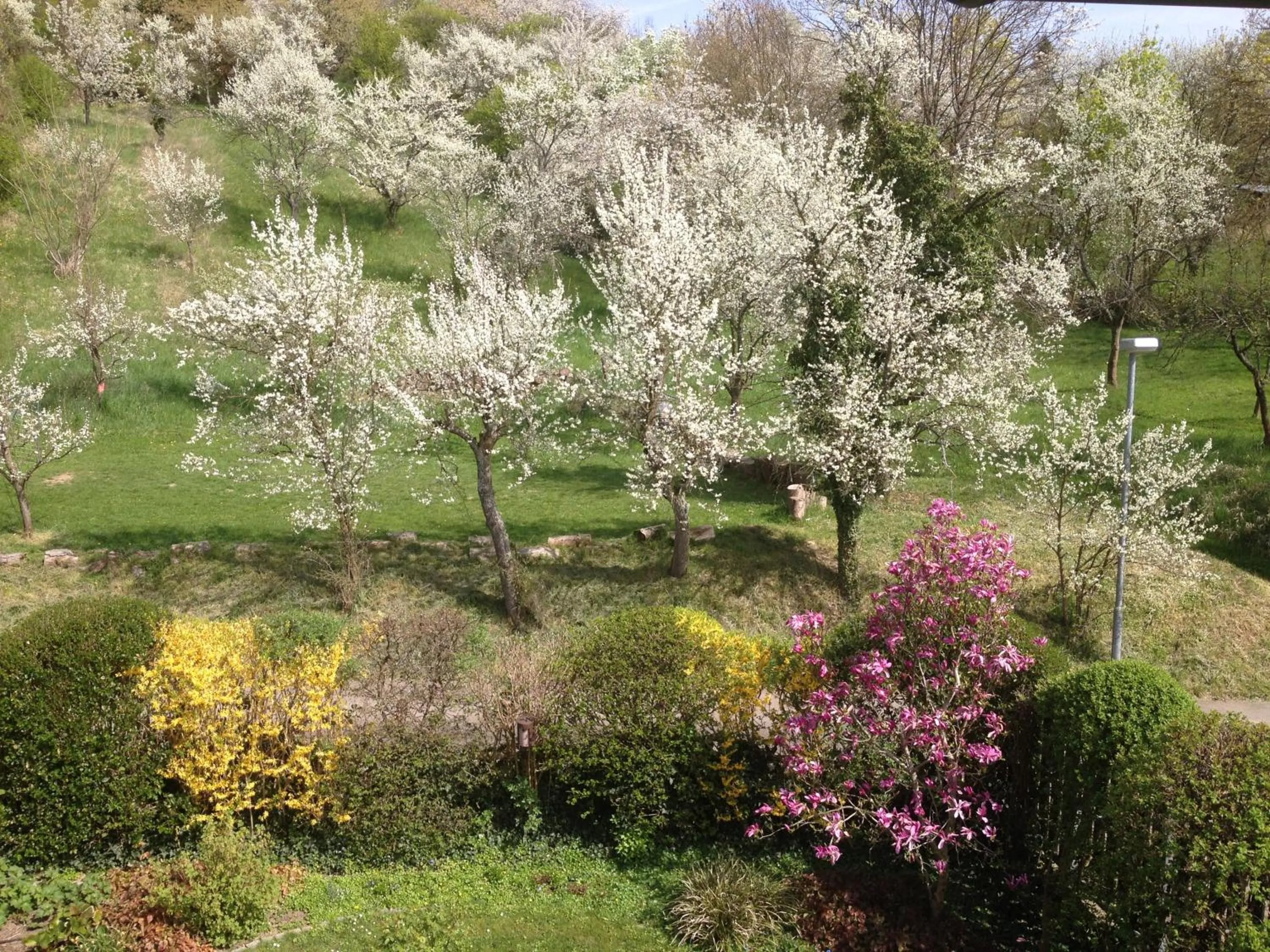 Spring in 1463 Apartmenthaus