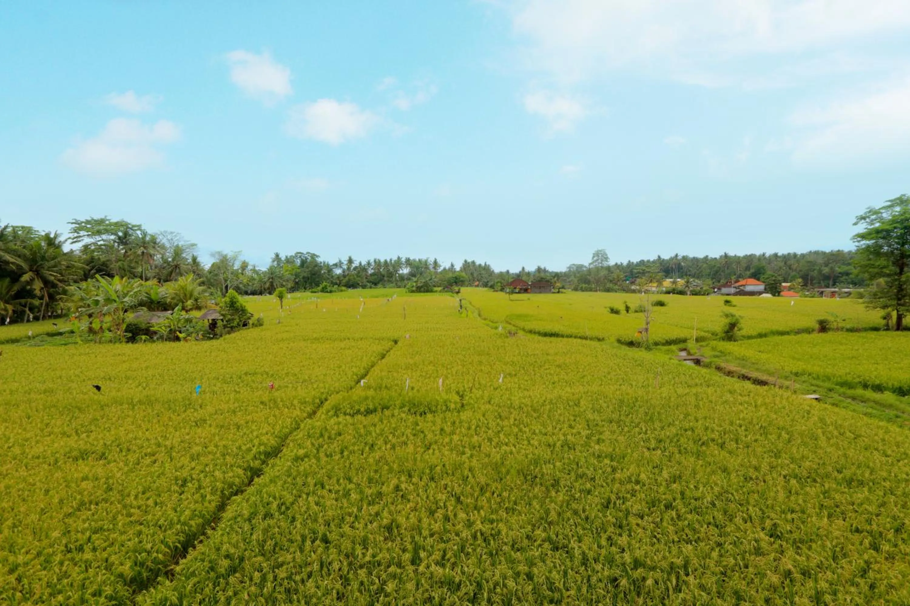 Area and facilities in ThanTha Ubud Villa