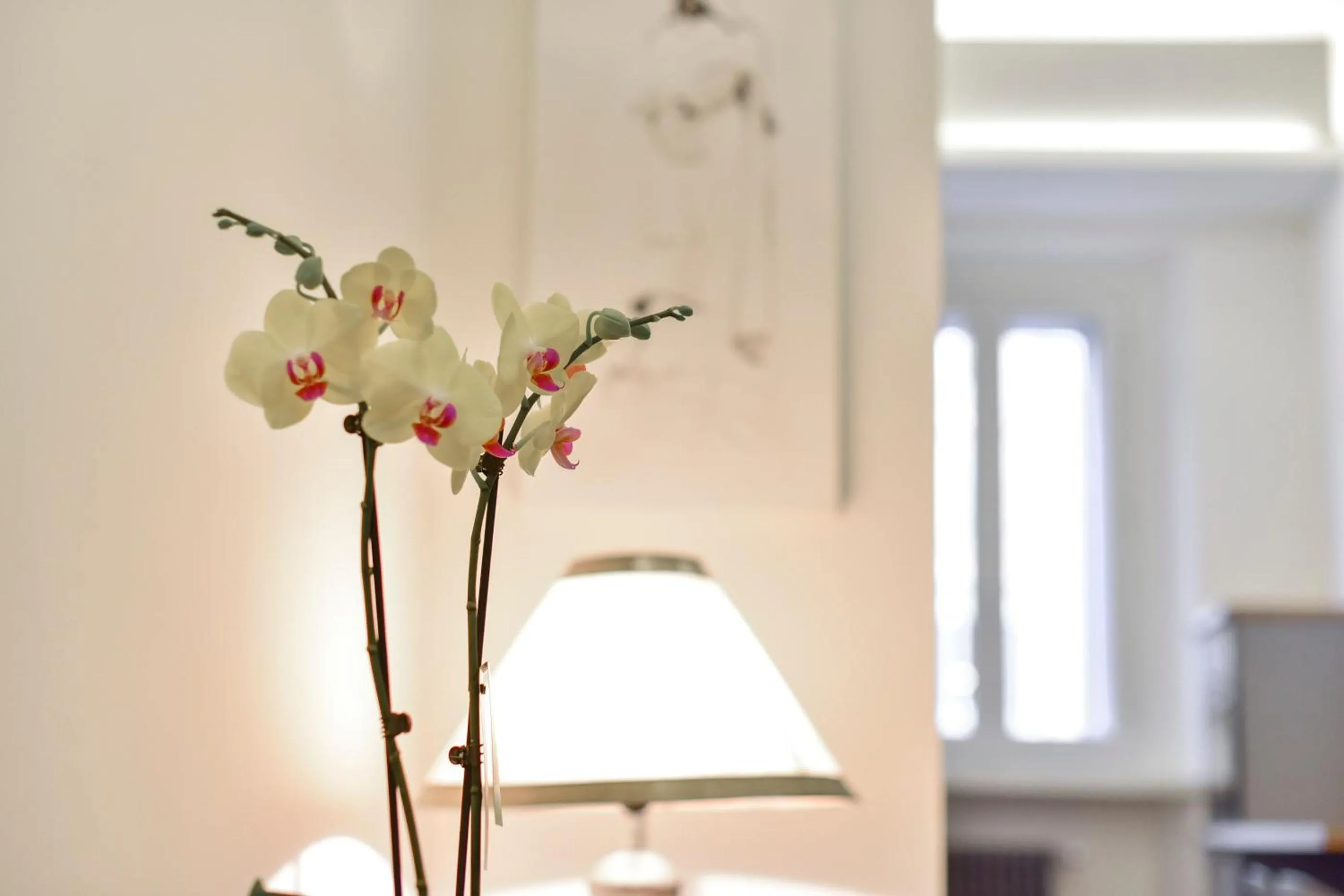 Decorative detail in Campo de' Fiori Brand New Apartment