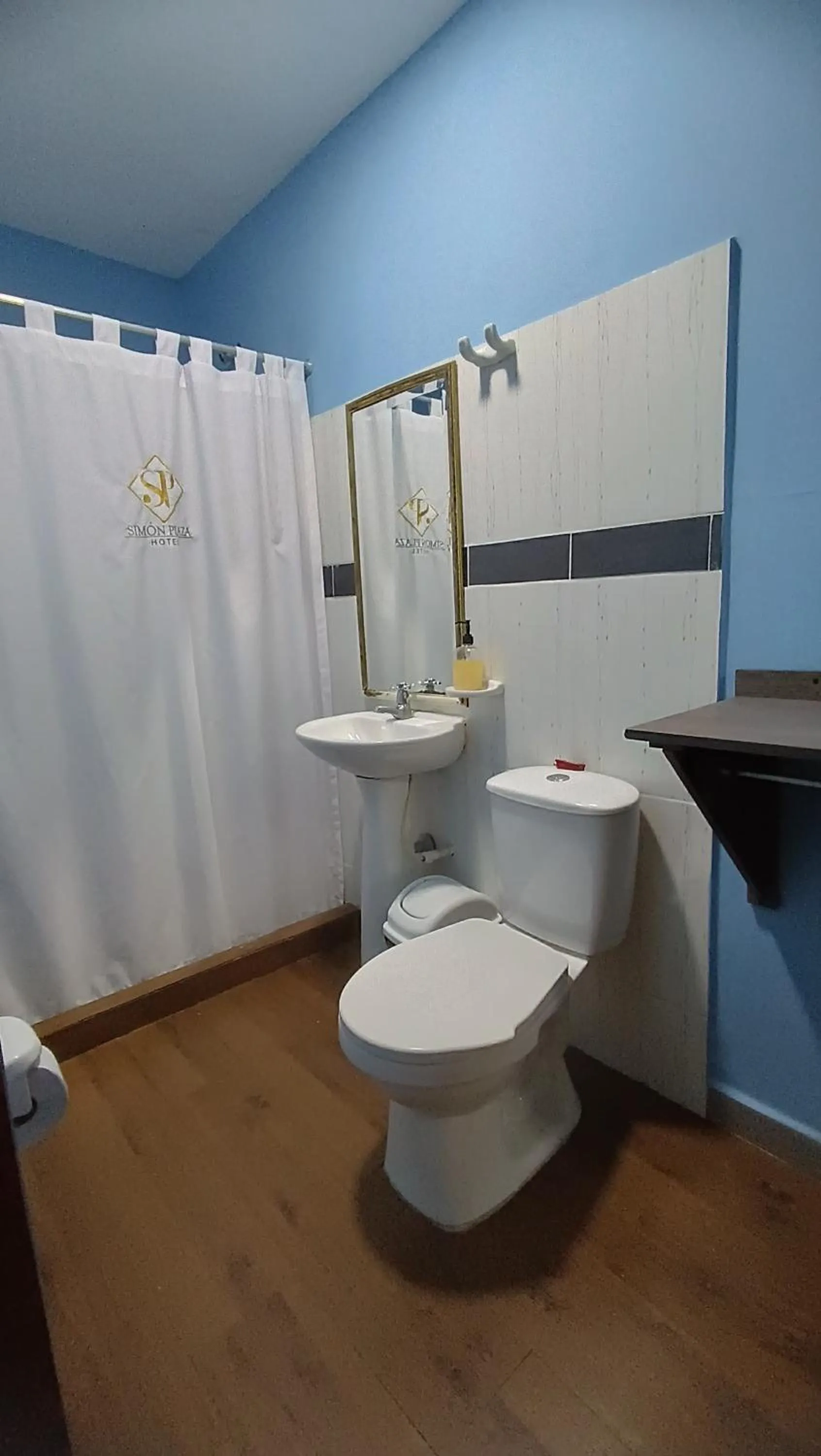 Toilet in Hotel Simón Plaza