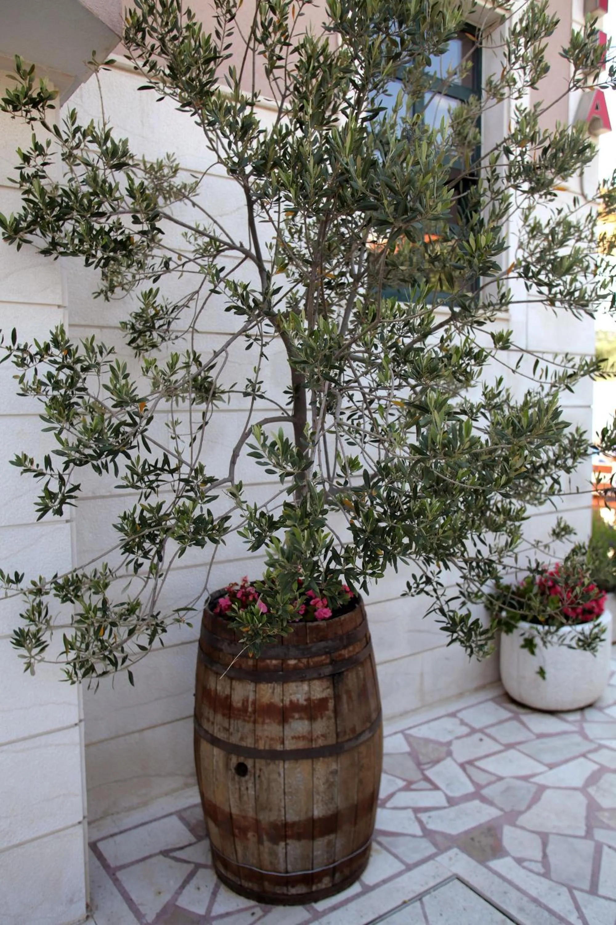 Decorative detail in Villa Rustica Dalmatia