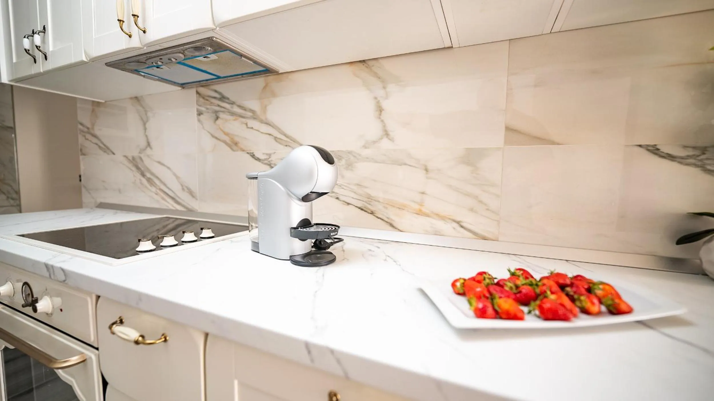 Kitchen or kitchenette in Villa Rustica Dalmatia