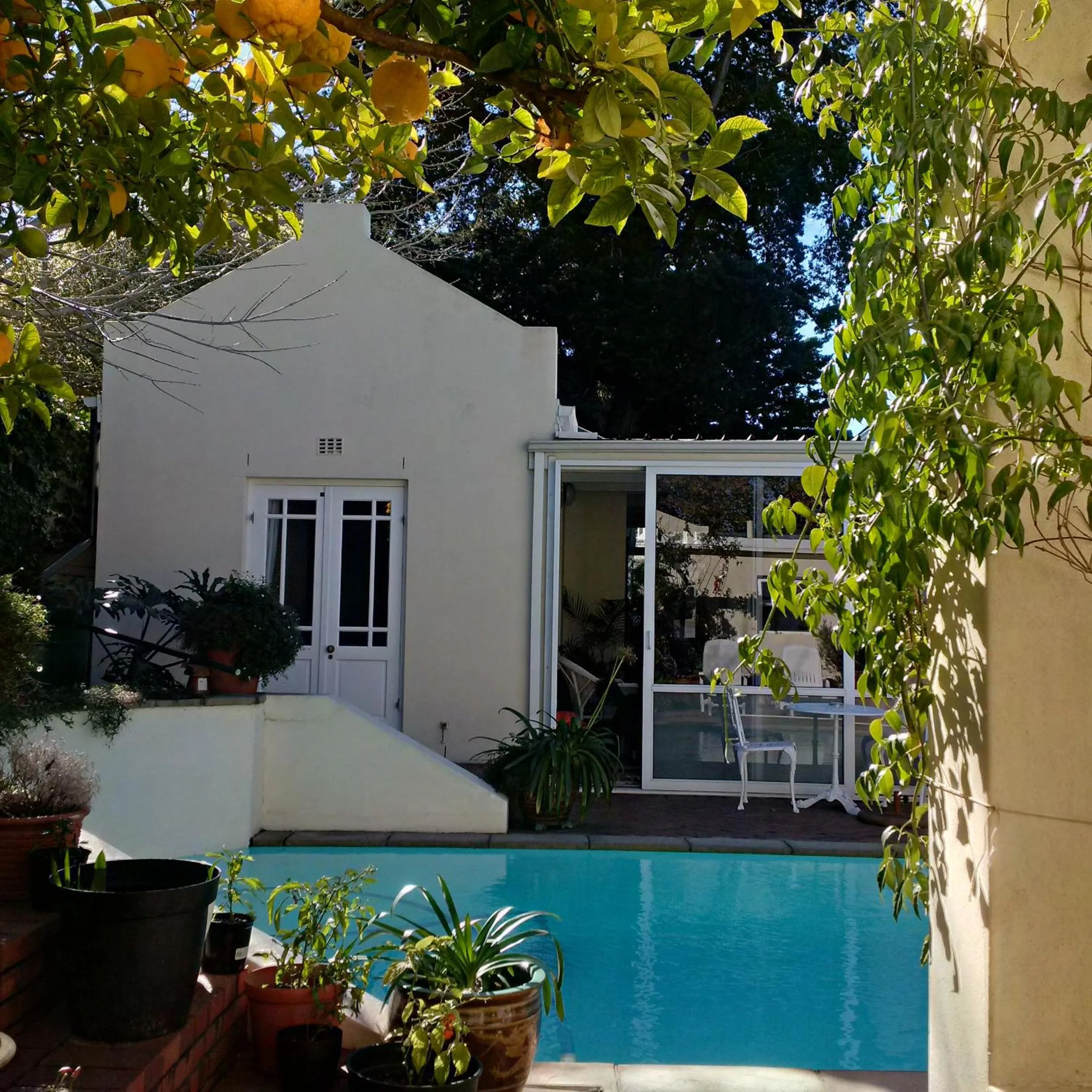 Pool view in Newlands Guest House