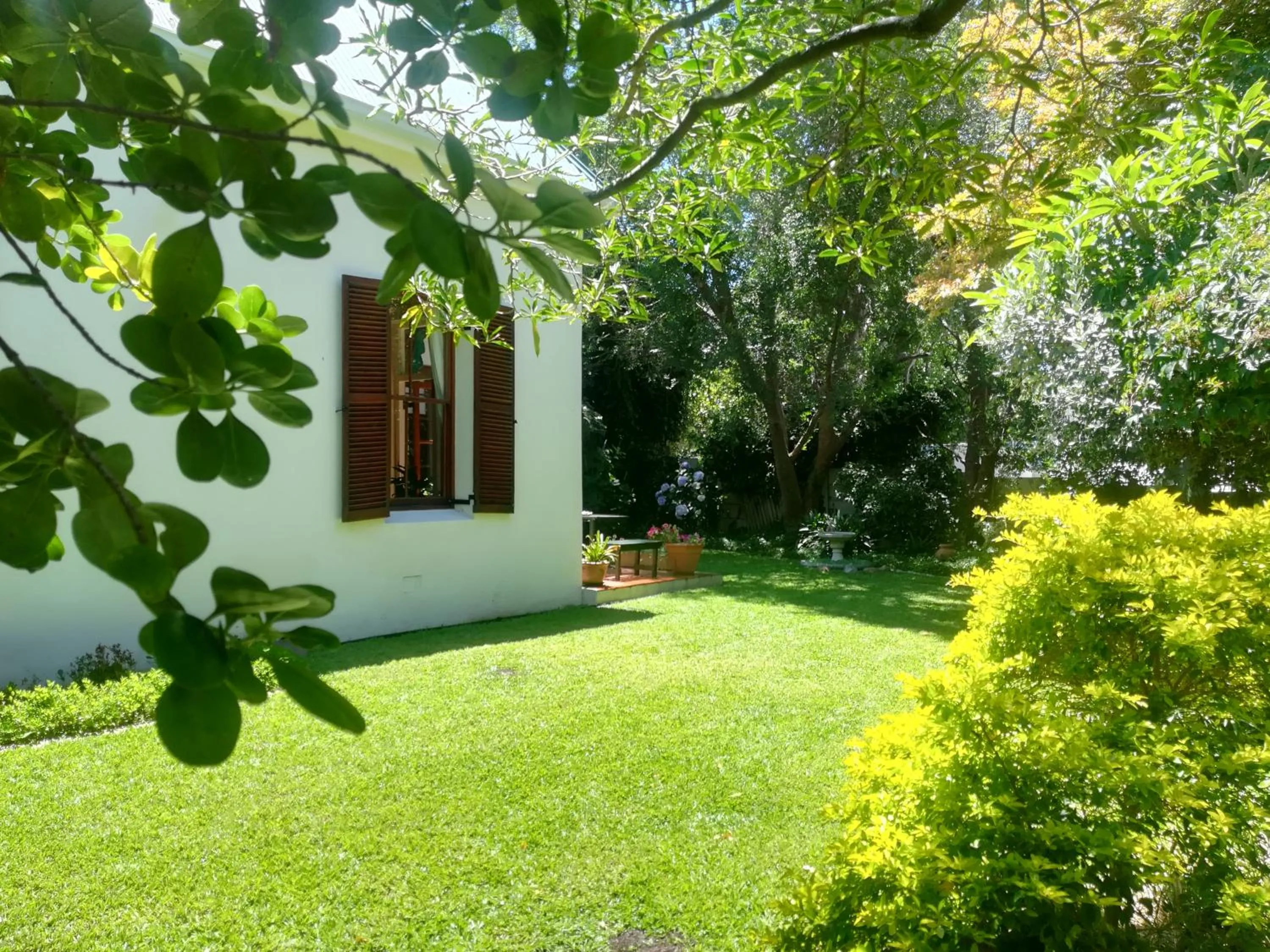 Garden in Newlands Guest House