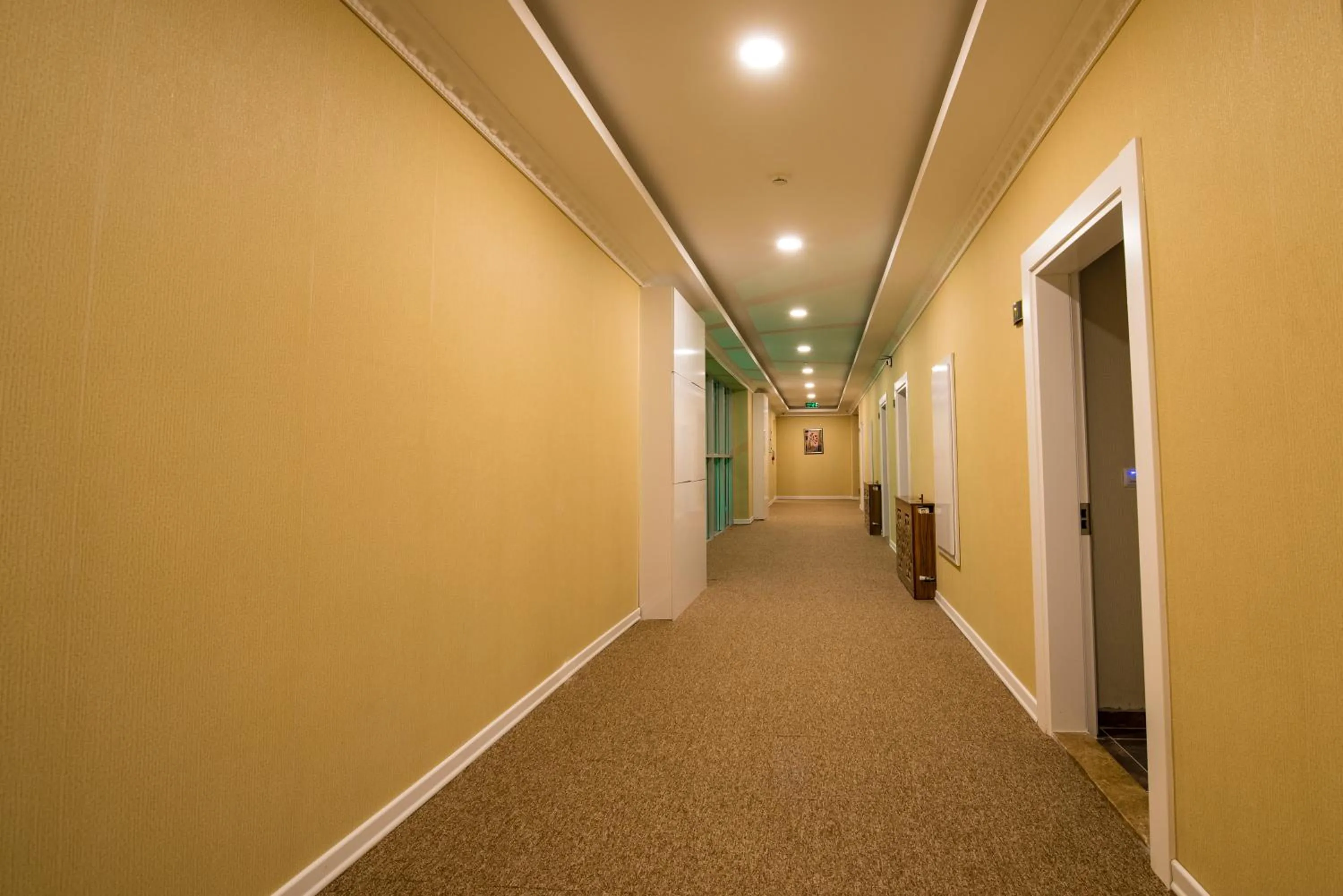 Other in Kars-i Si̇ri̇n Otel