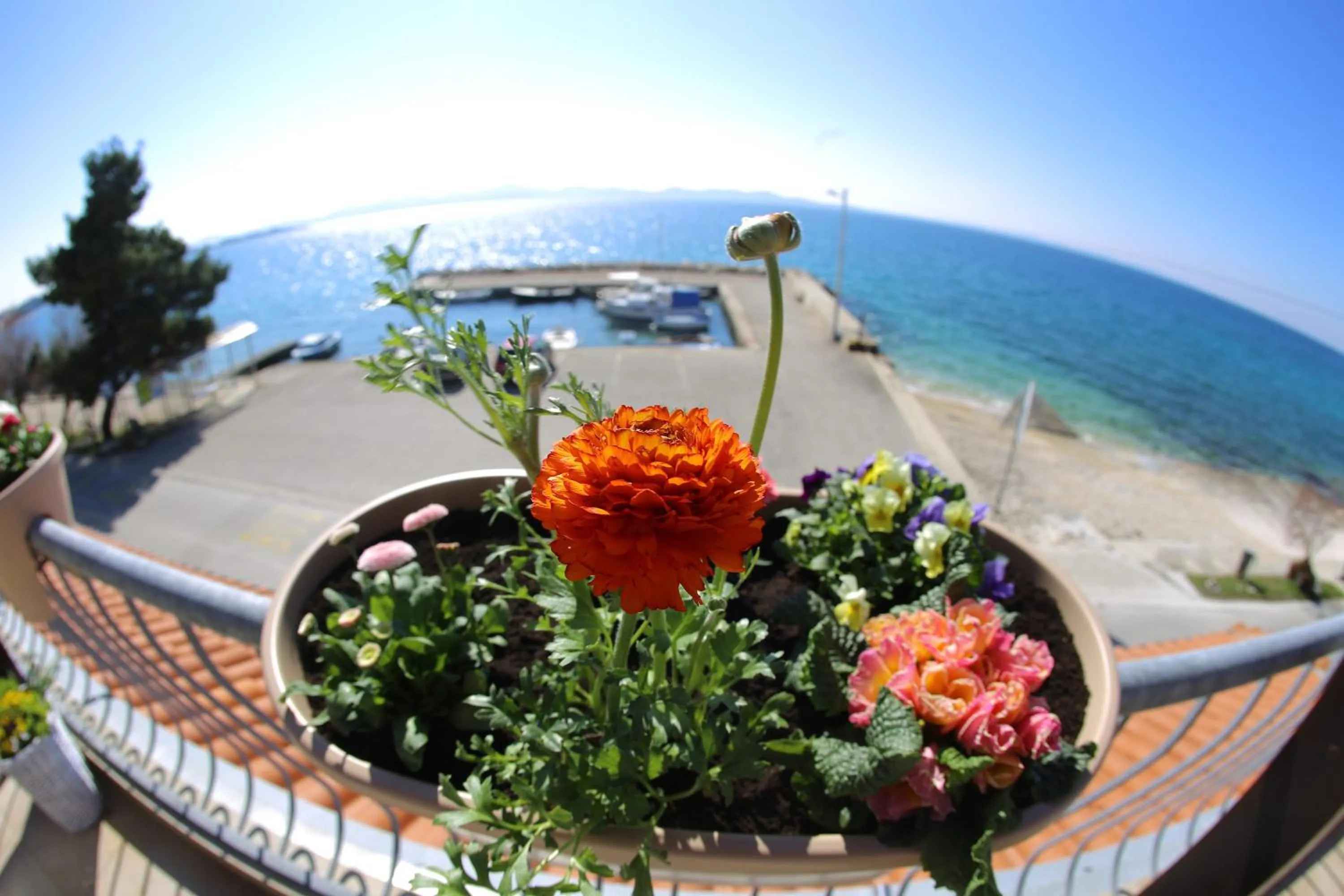 Sea view in Hotel Delfin