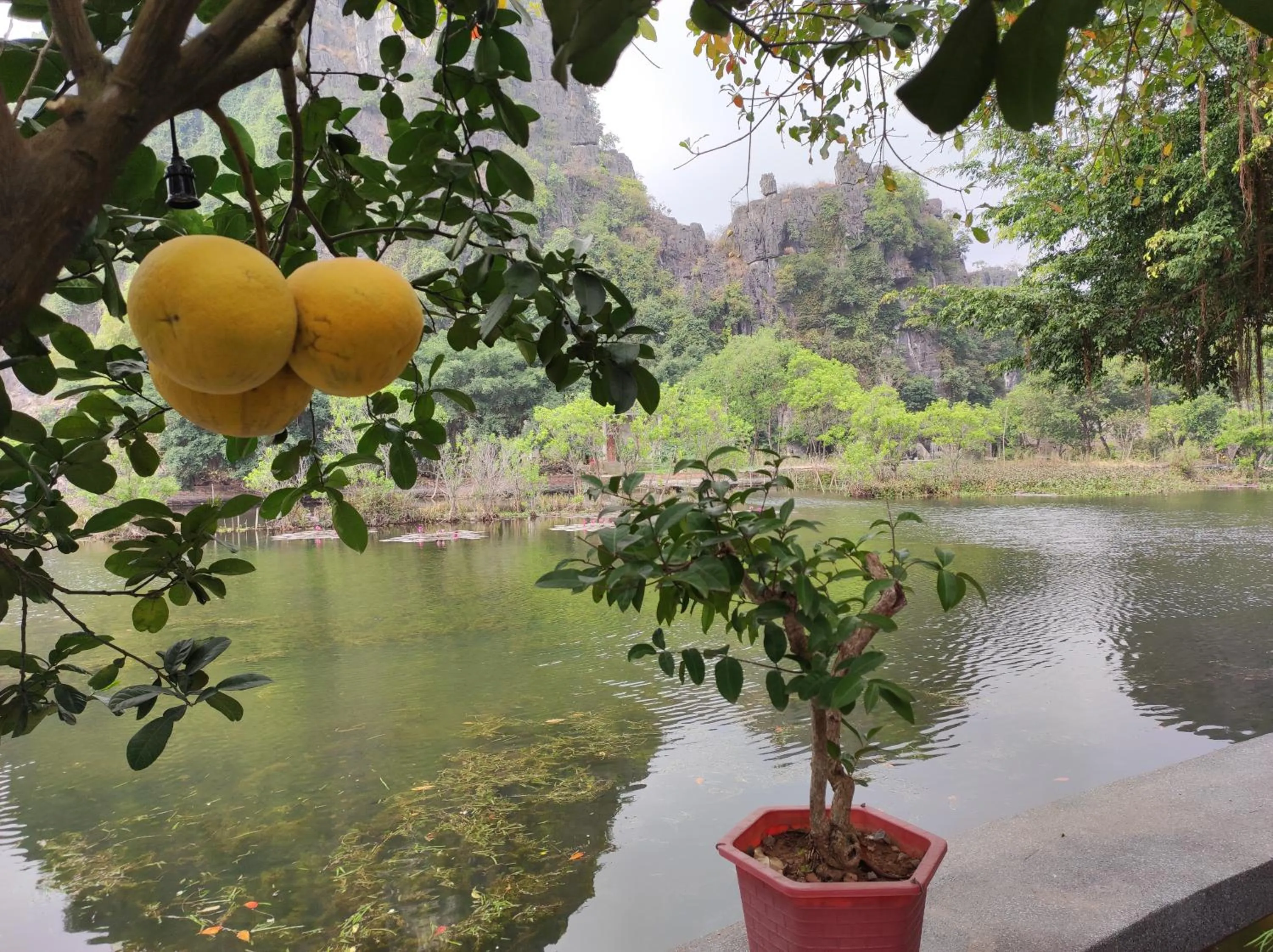 Natural landscape in Tam Coc Bungalow
