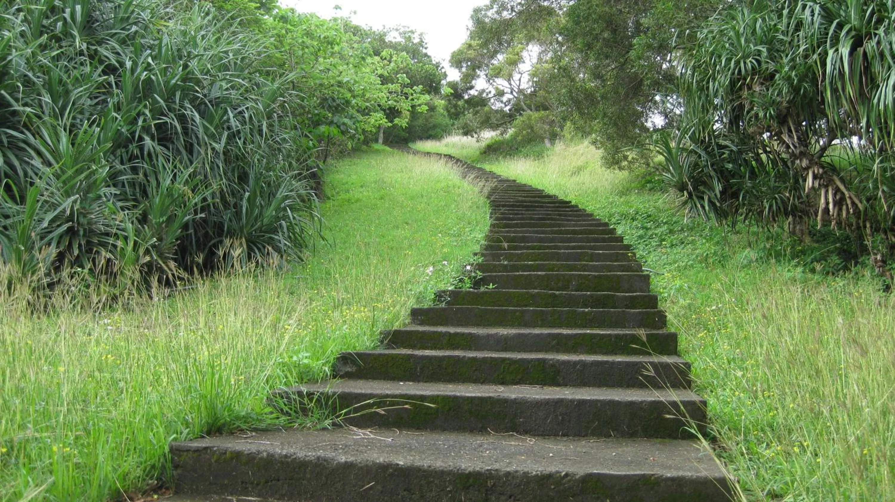 Entertainment in Kentington Resort