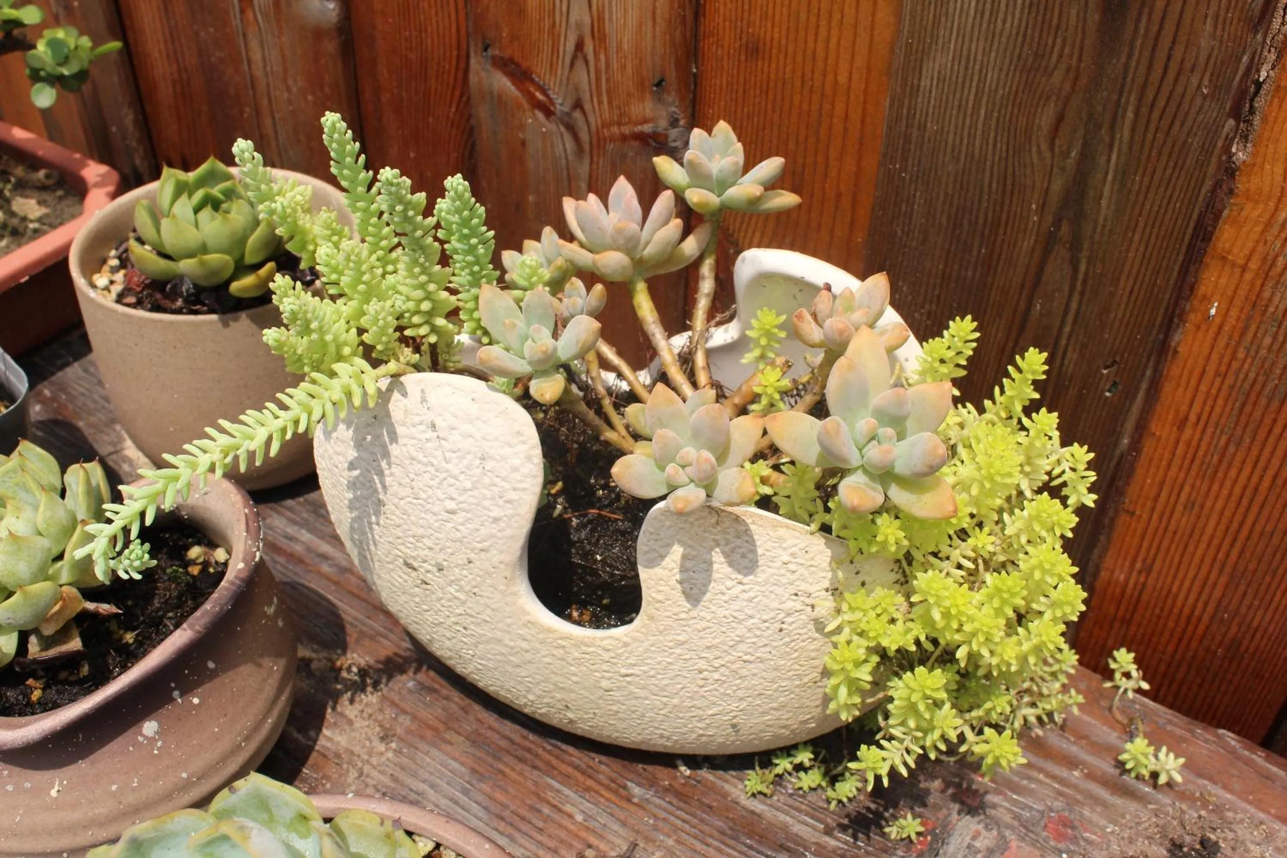 Garden in Chaozhou Hello Inn