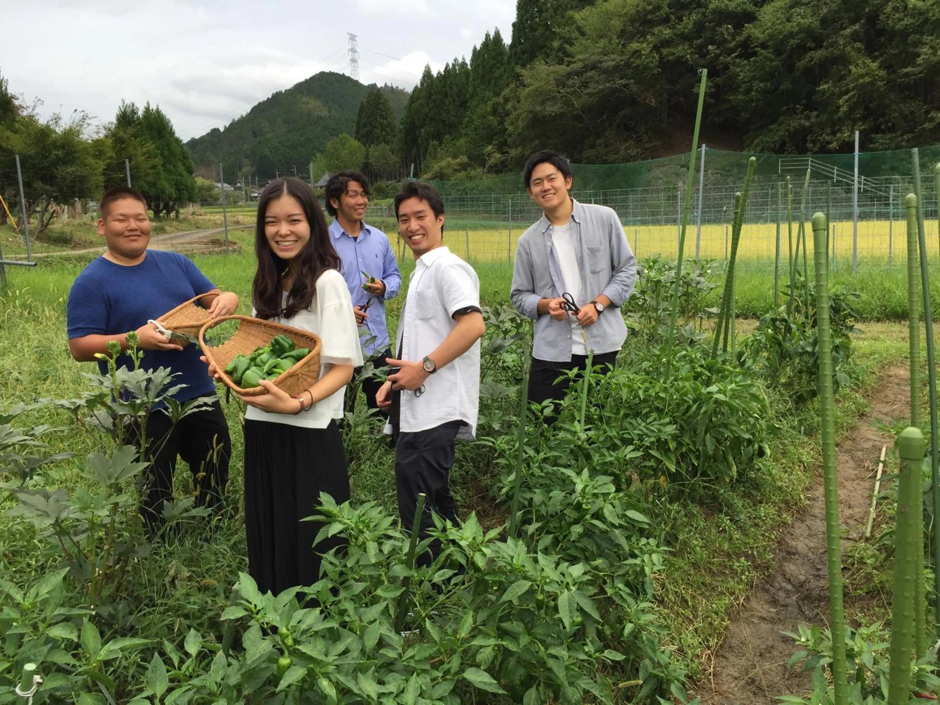 Autumn in Goemon Kyoto Japan