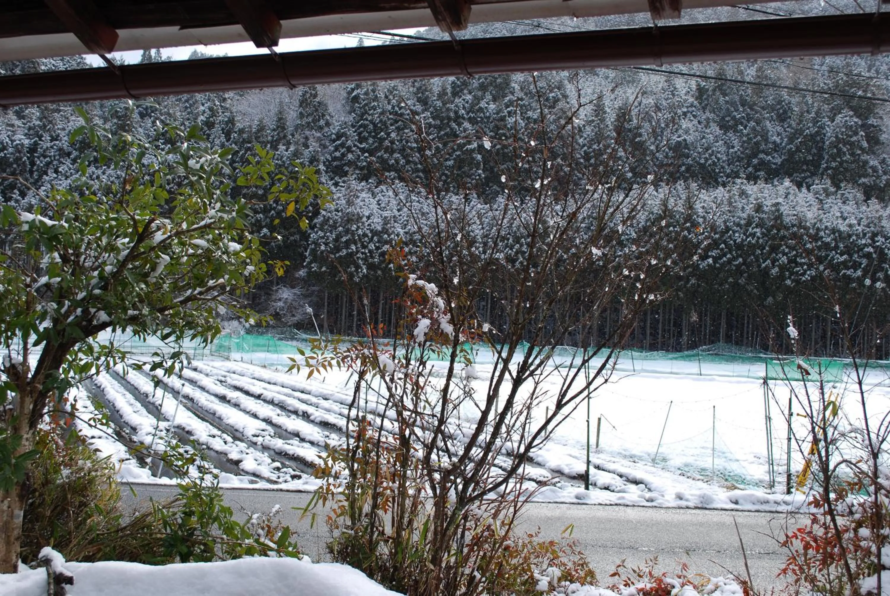 View (from property/room) in Goemon Kyoto Japan