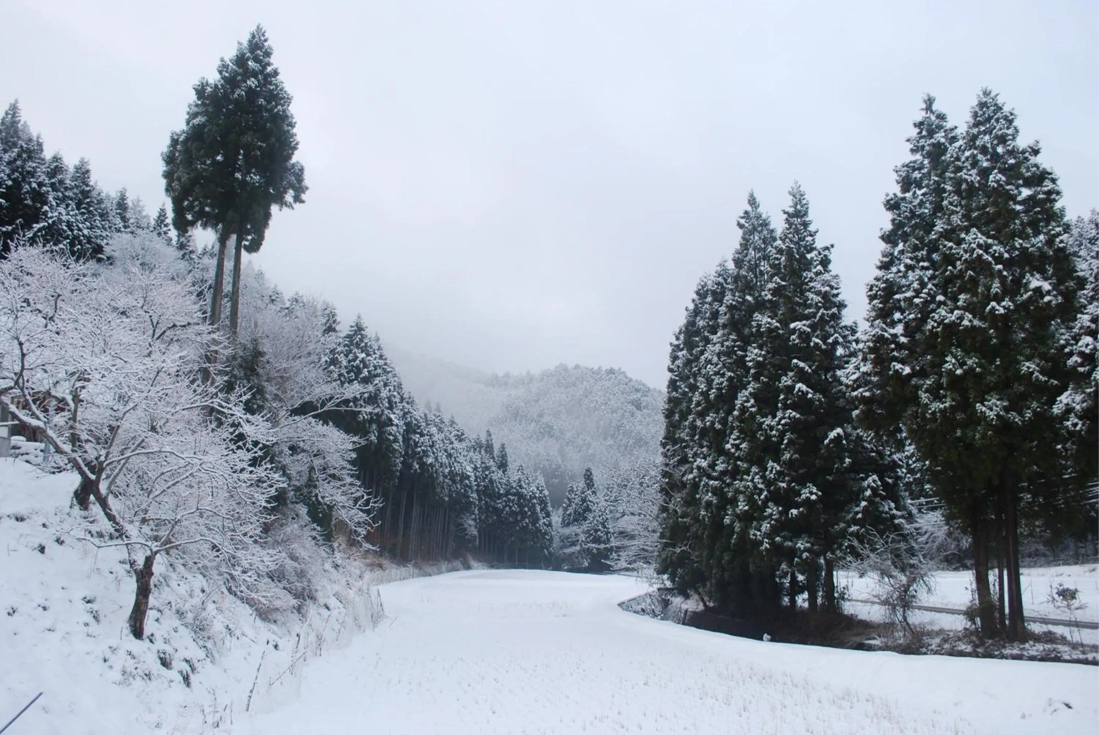 Neighbourhood in Goemon Kyoto Japan