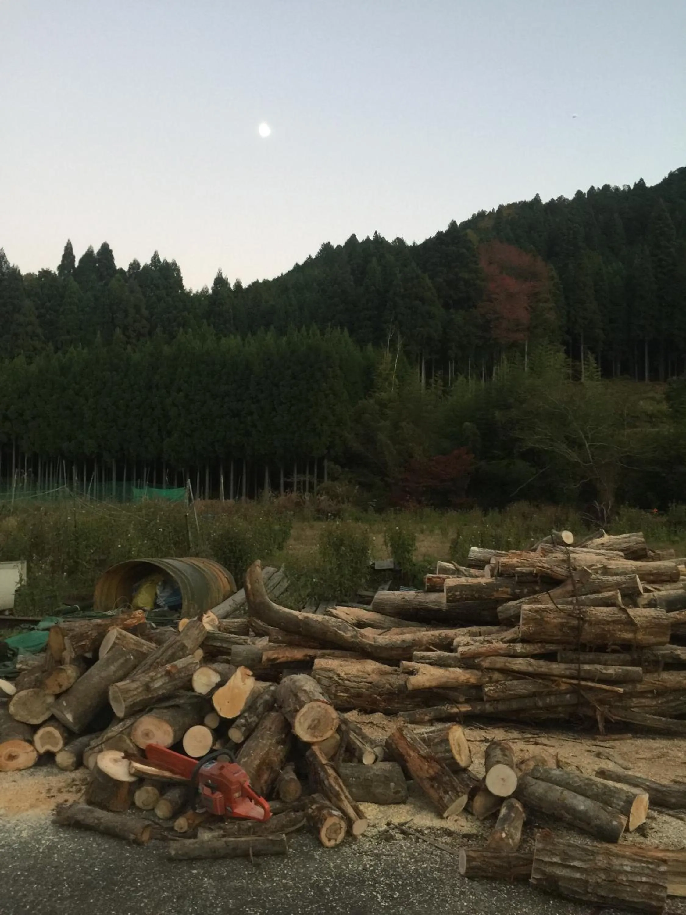 Autumn in Goemon Kyoto Japan