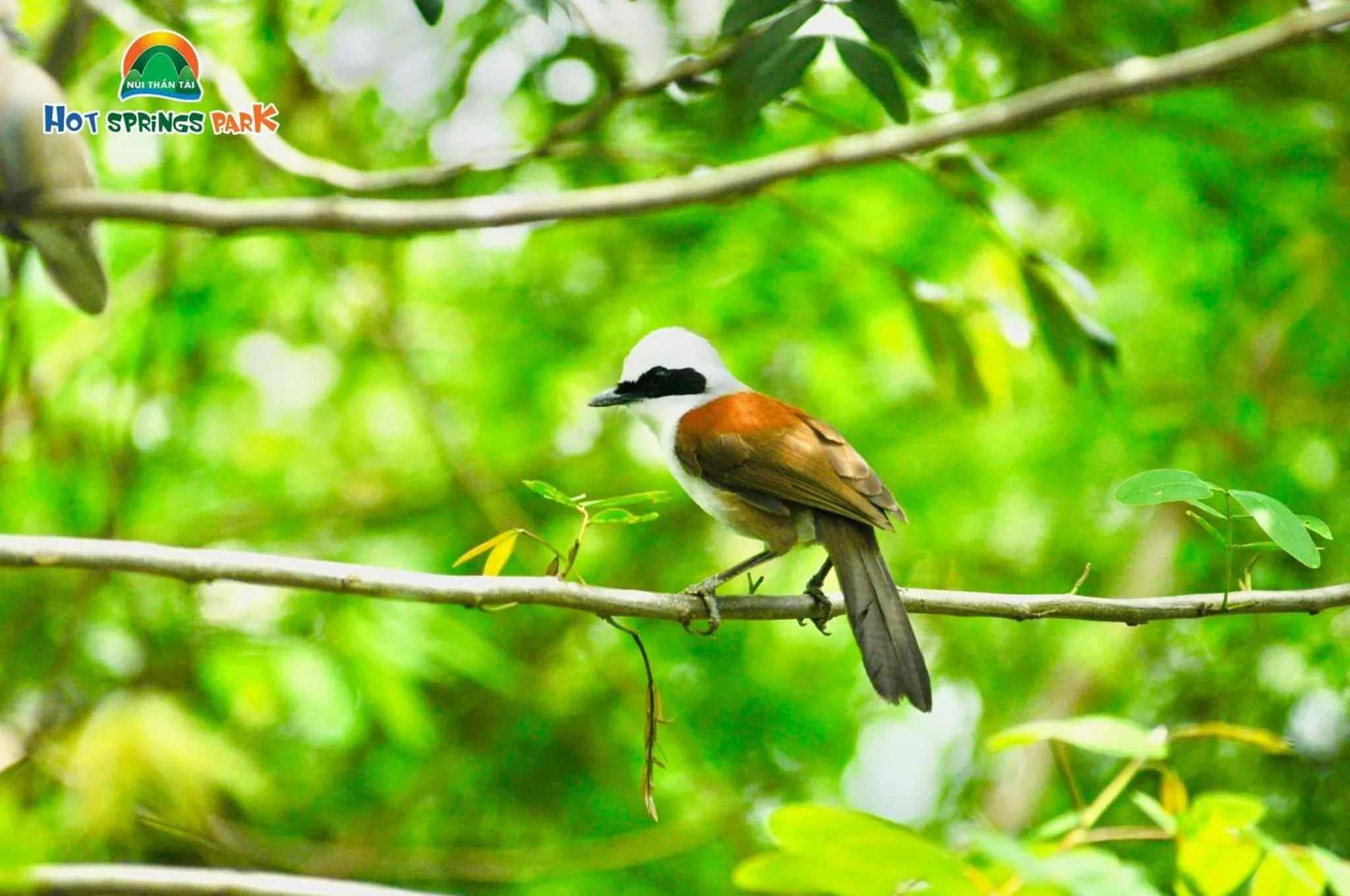 Natural landscape in Ebisu Onsen Resort