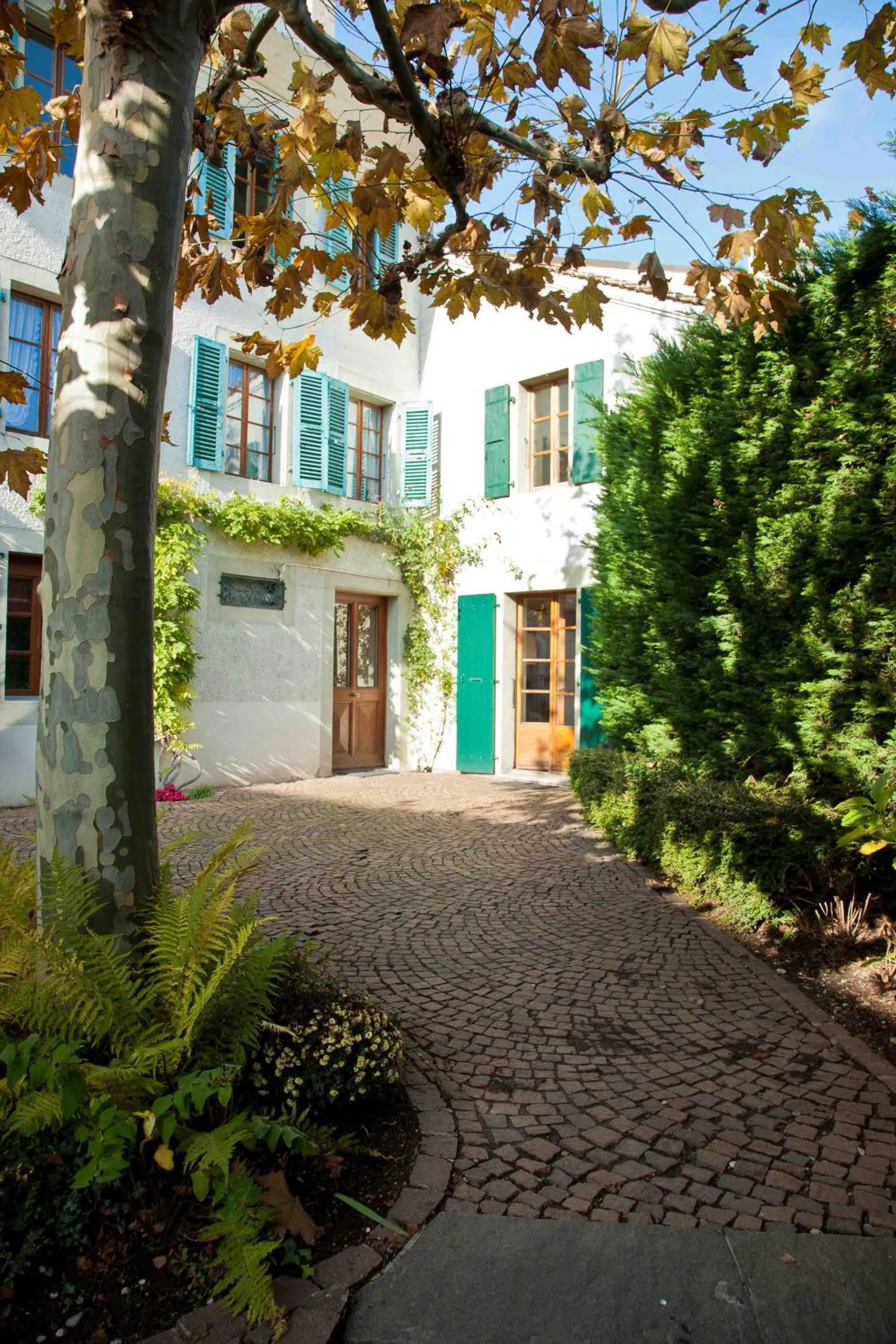 Patio in Charming Geneva