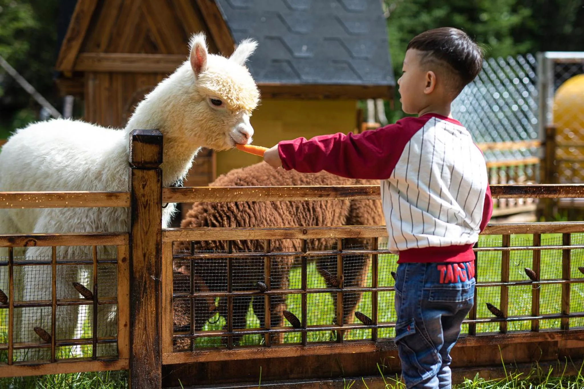 Fitness centre/facilities in Crowne Plaza Resort Changbaishan Hot Spring by IHG