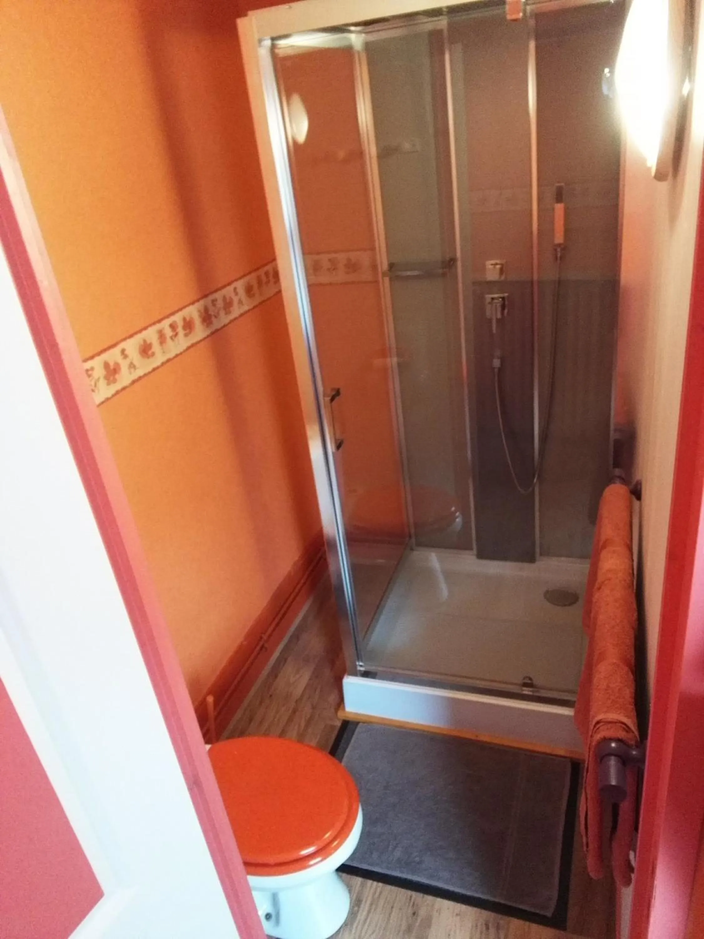 Shower in L'Hôtel du Mouton blanc