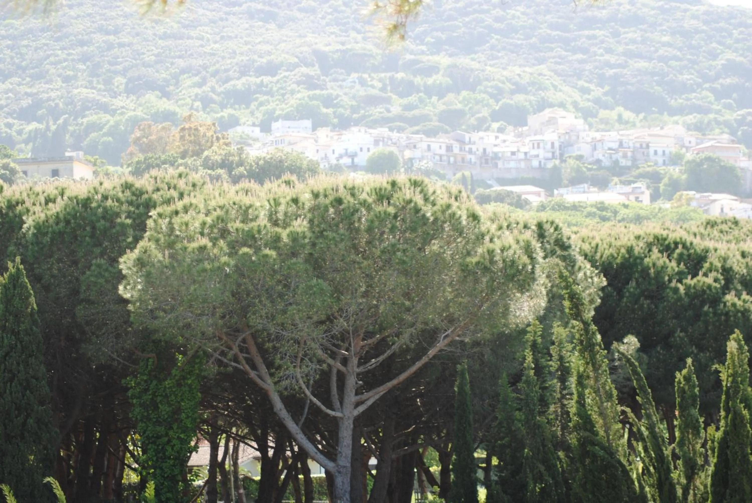 Landmark view in Hotel Mastropeppe