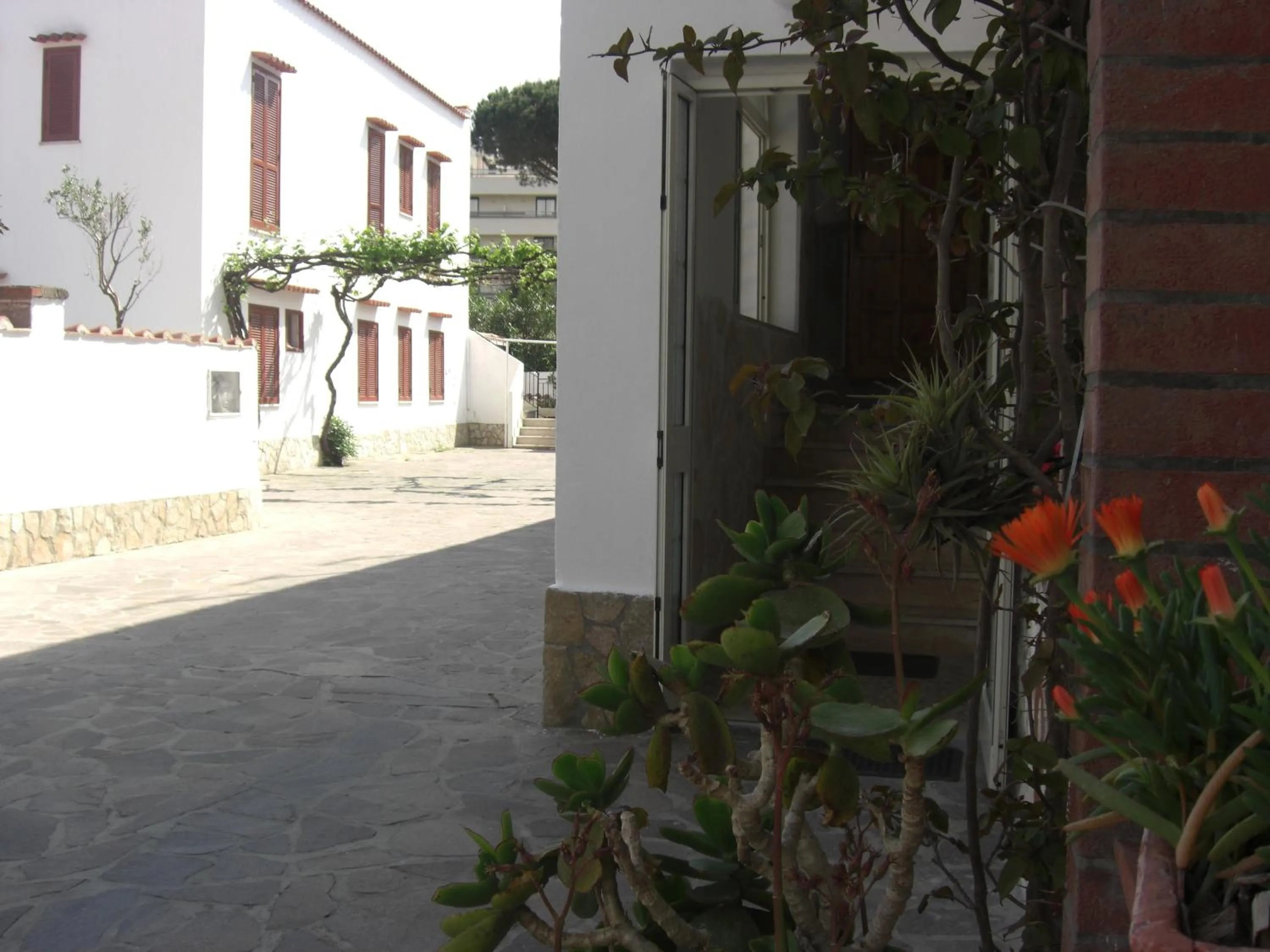 Facade/entrance in Hotel Mastropeppe