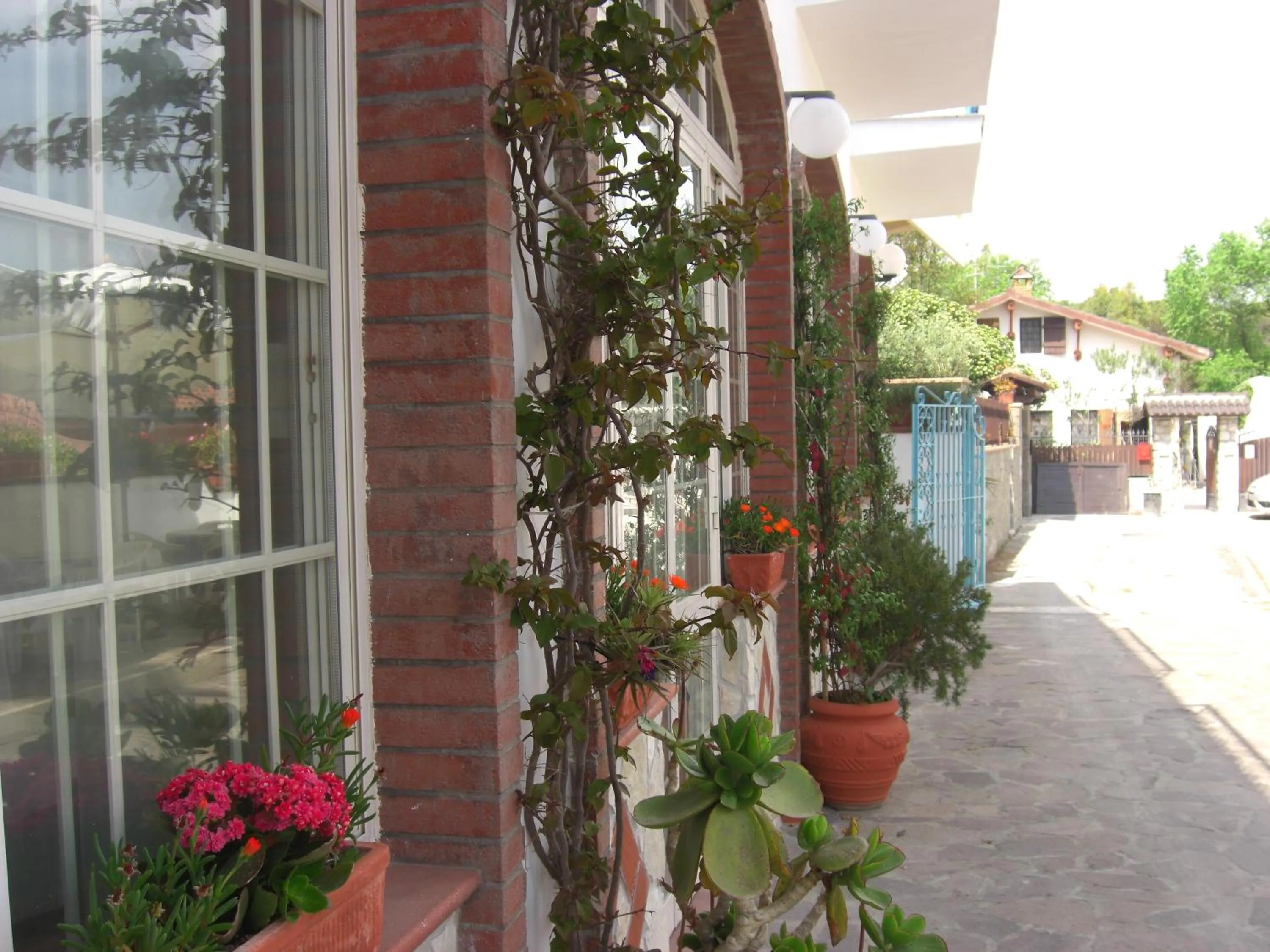 Property building in Hotel Mastropeppe