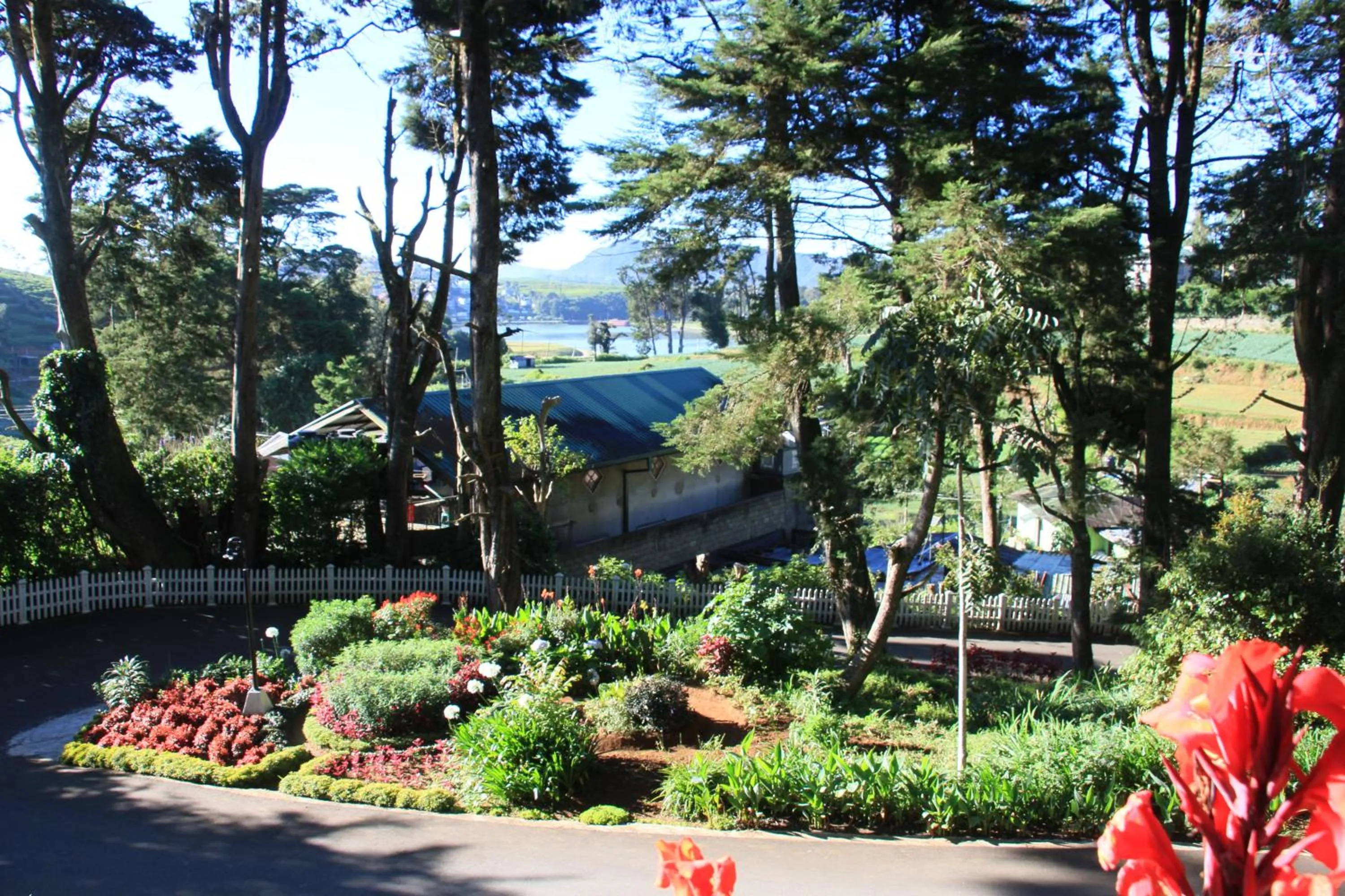 Garden in Mirage Kings Cottage