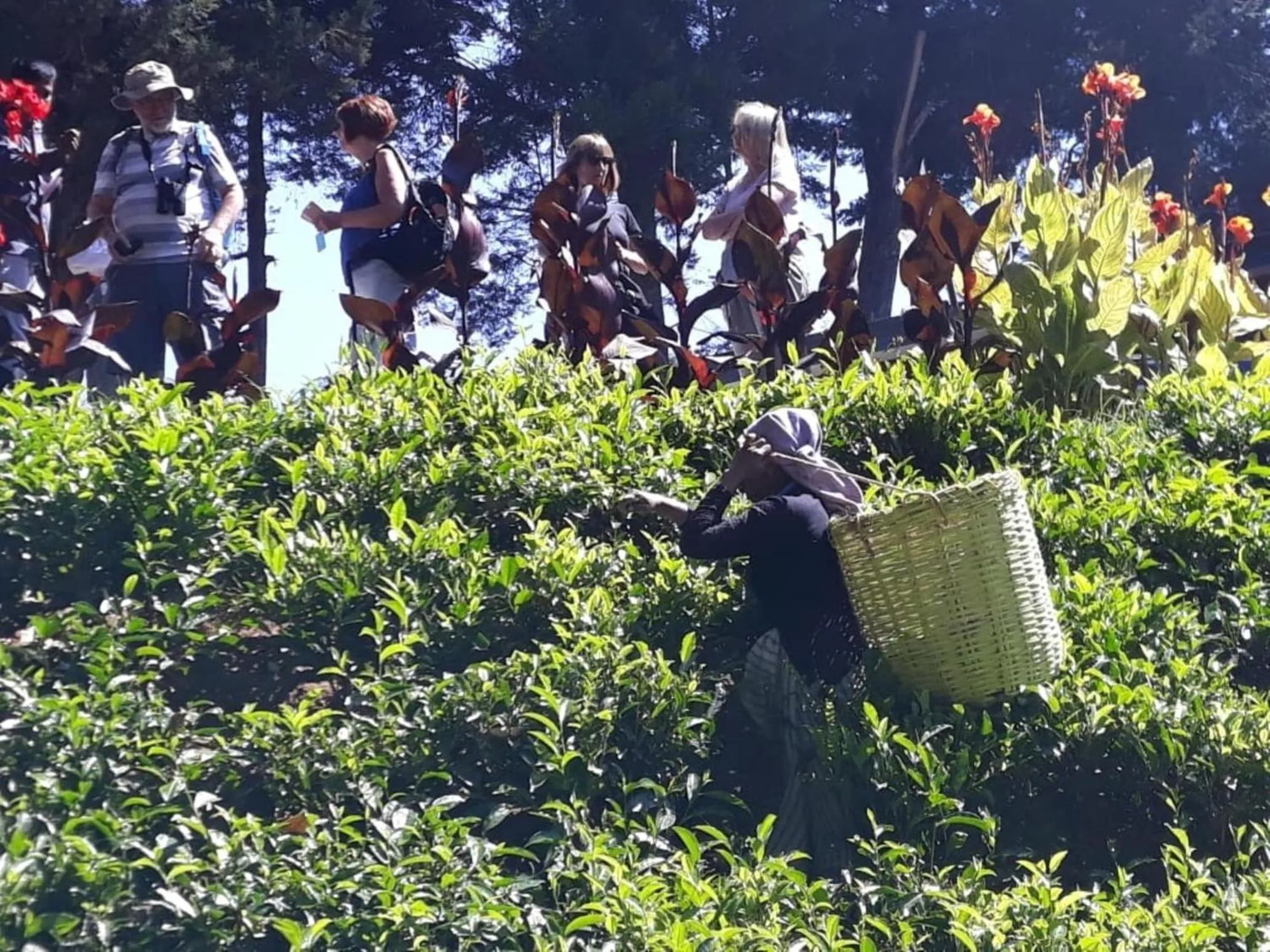 Activities in Mirage Kings Cottage