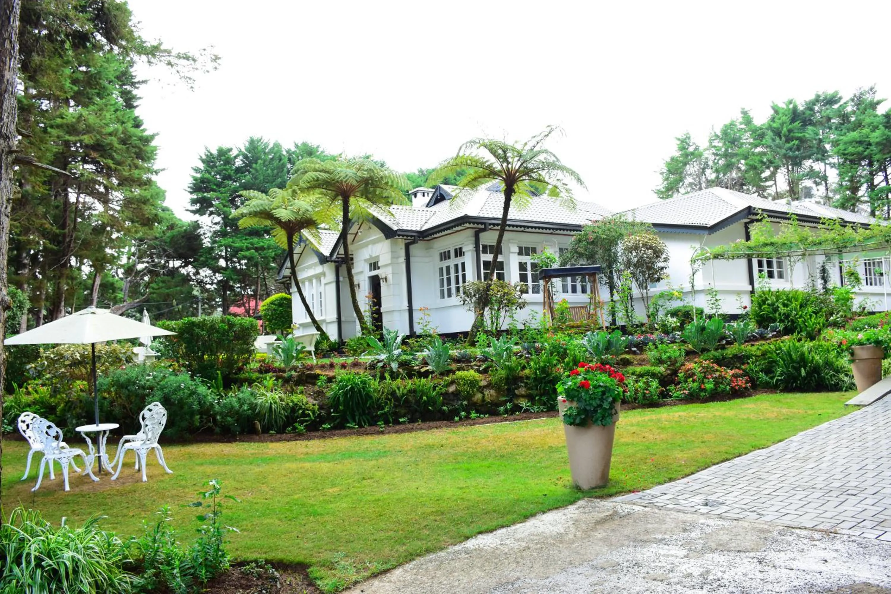 Garden in Mirage Kings Cottage