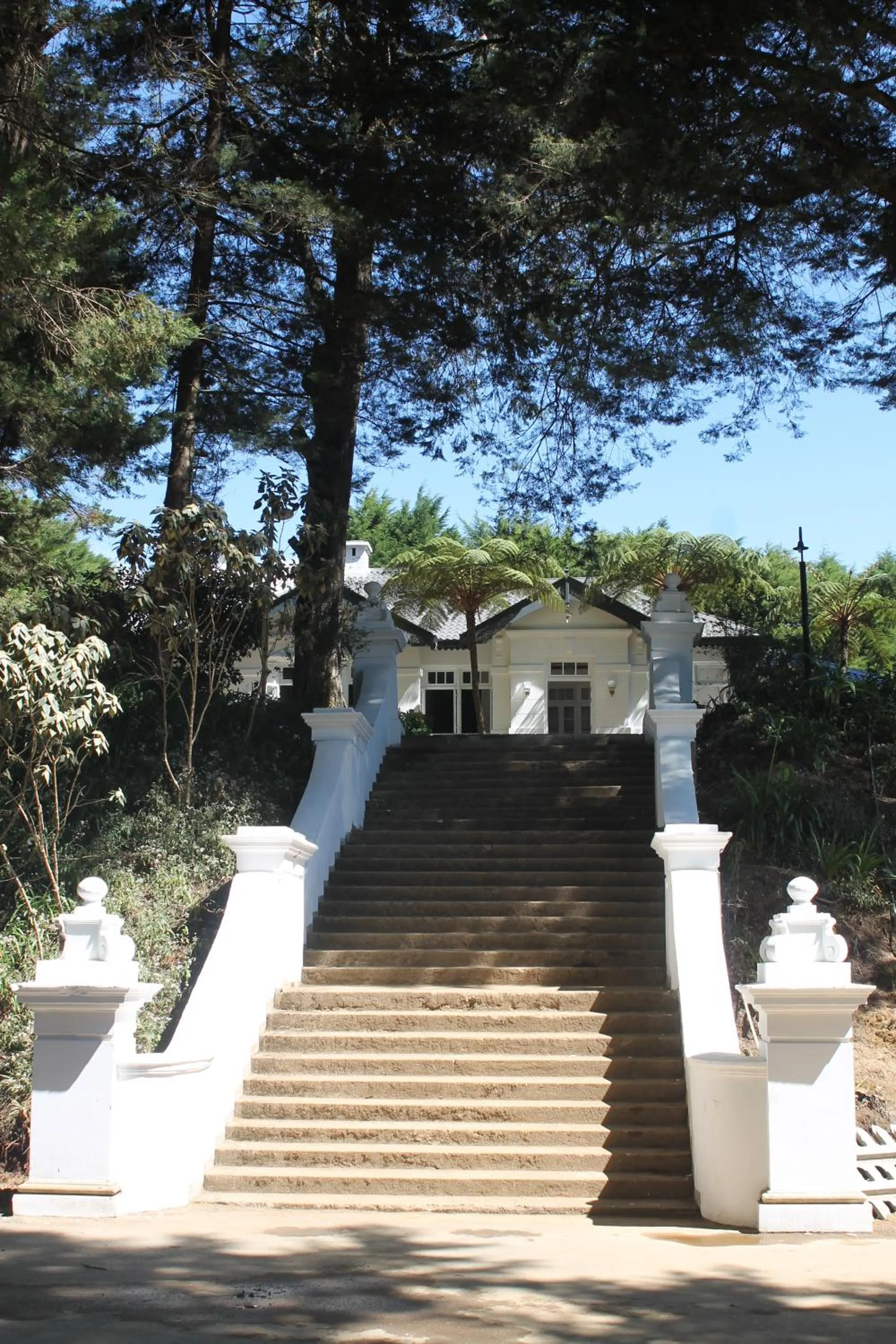 Garden in Mirage Kings Cottage