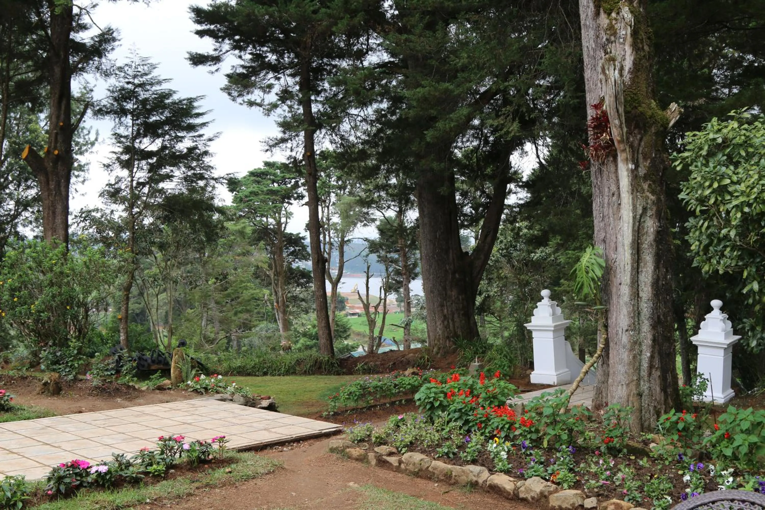 Natural landscape in Mirage Kings Cottage