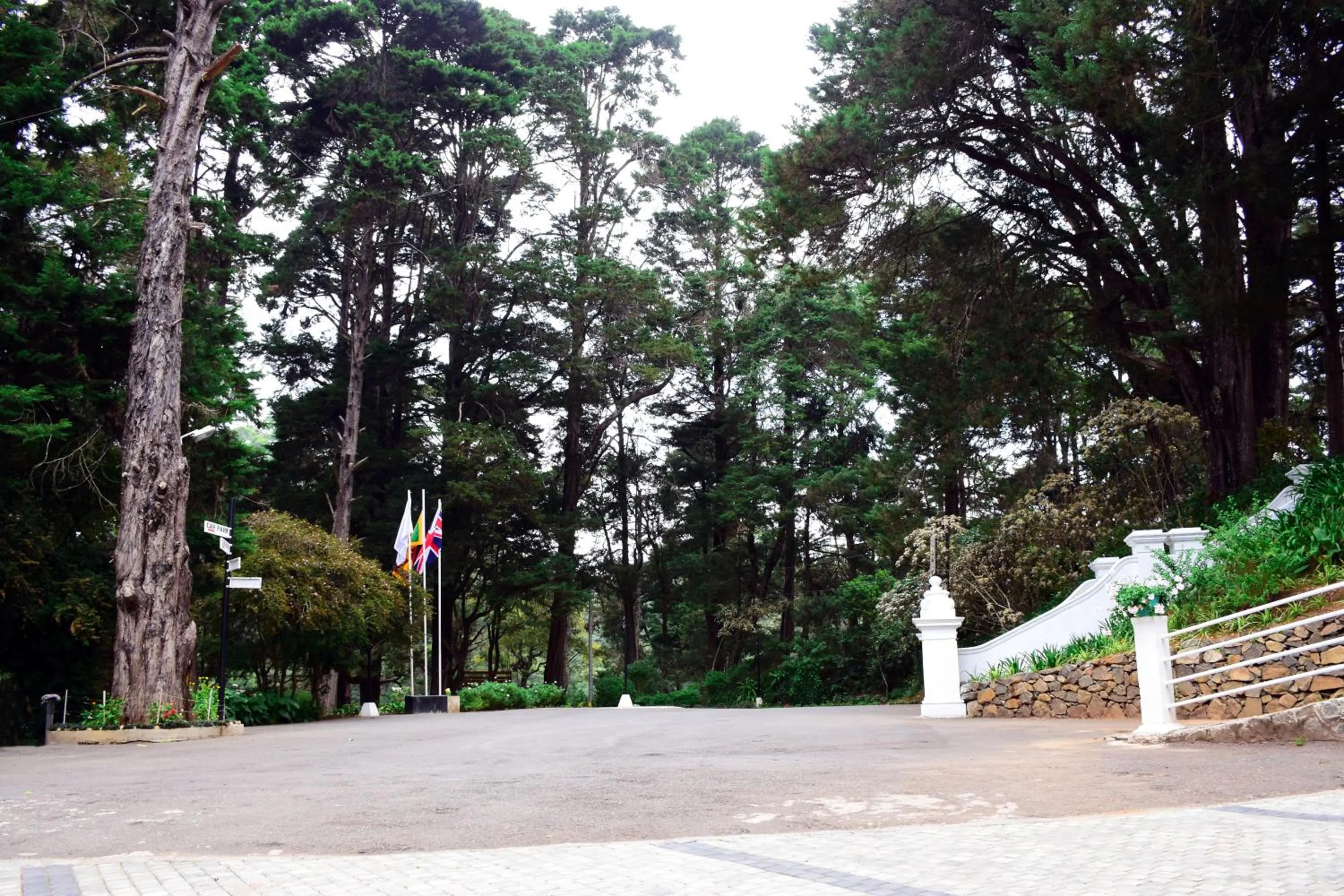 Garden in Mirage Kings Cottage
