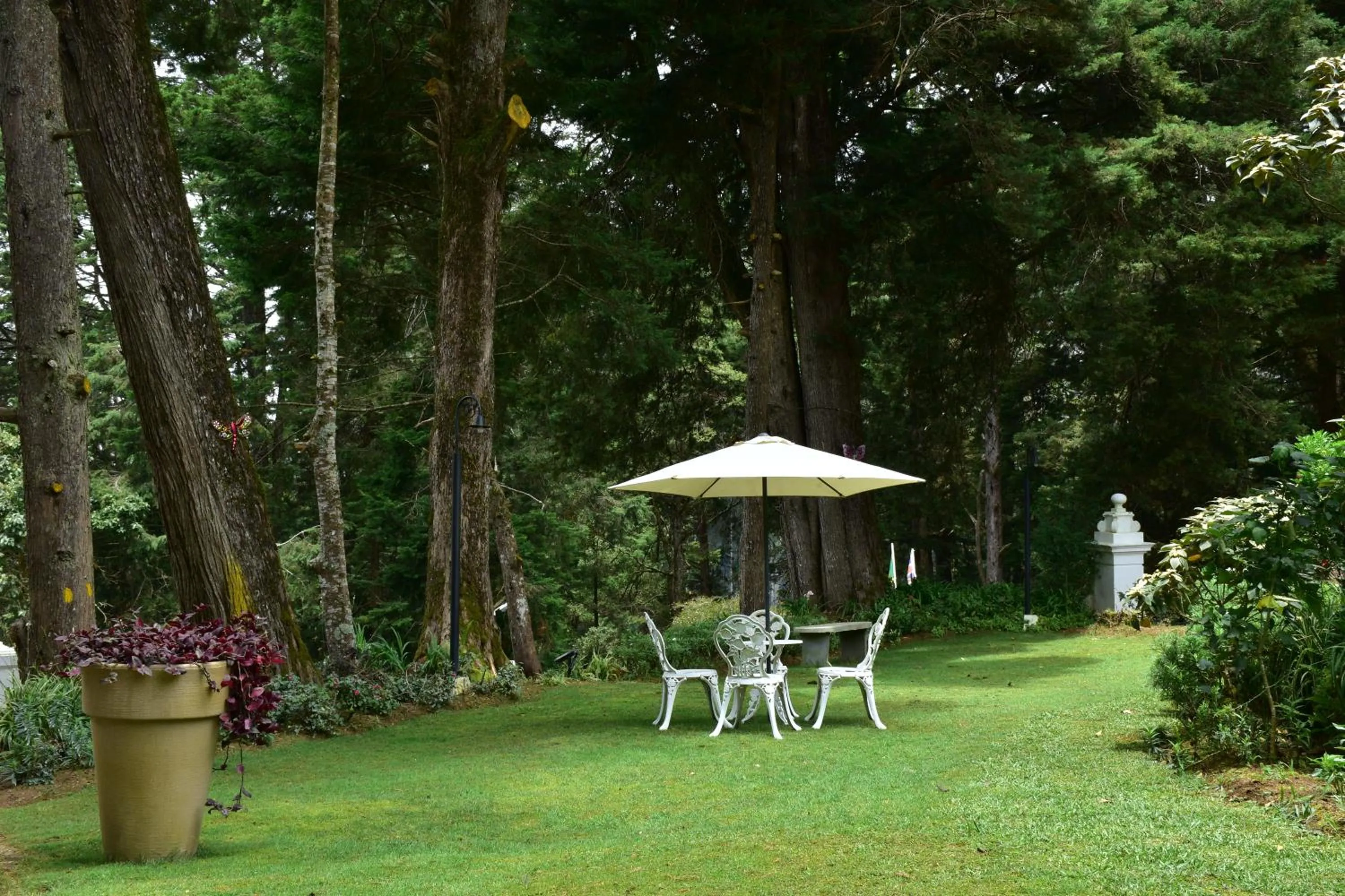 Garden in Mirage Kings Cottage