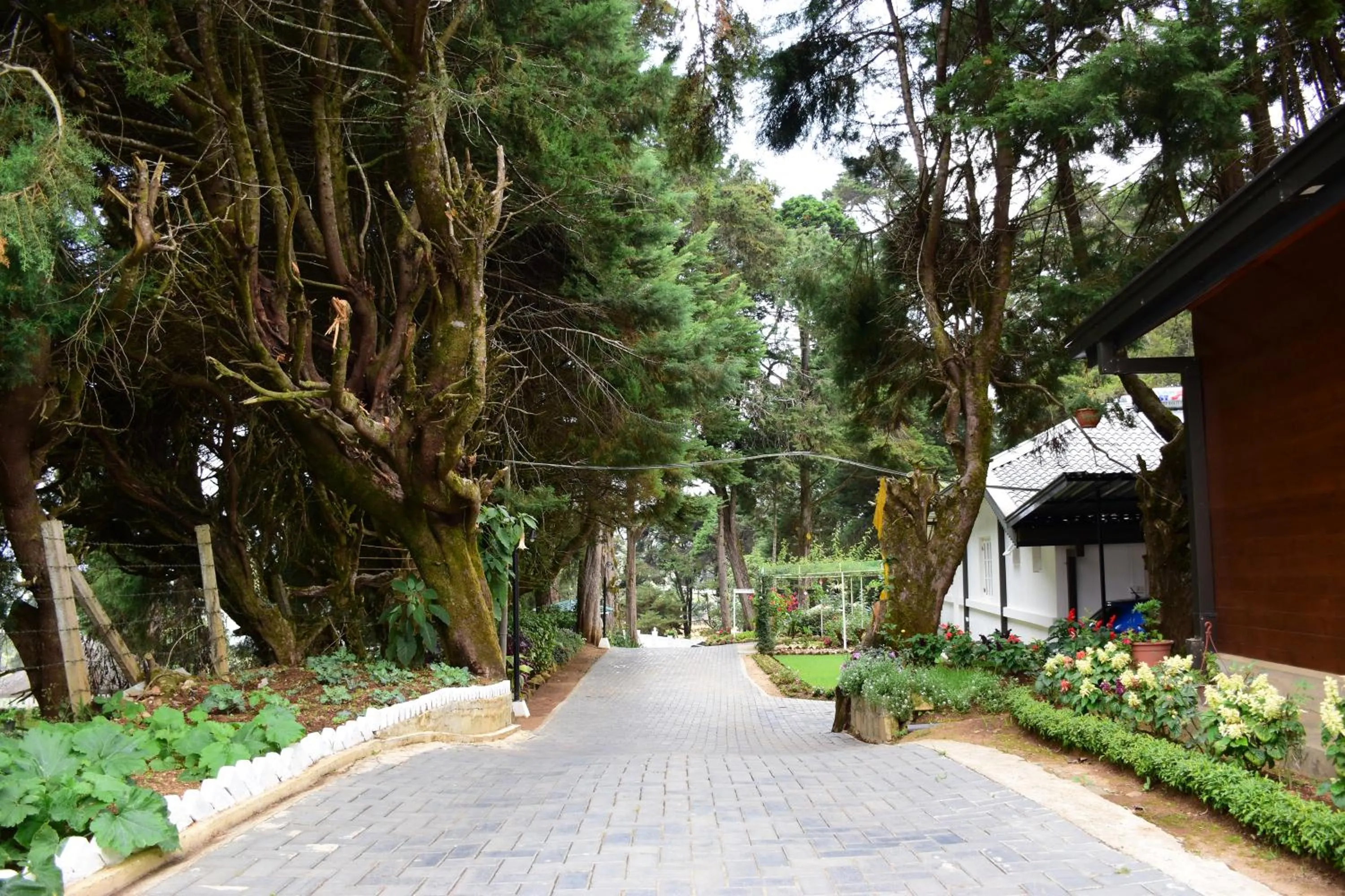 Facade/entrance in Mirage Kings Cottage