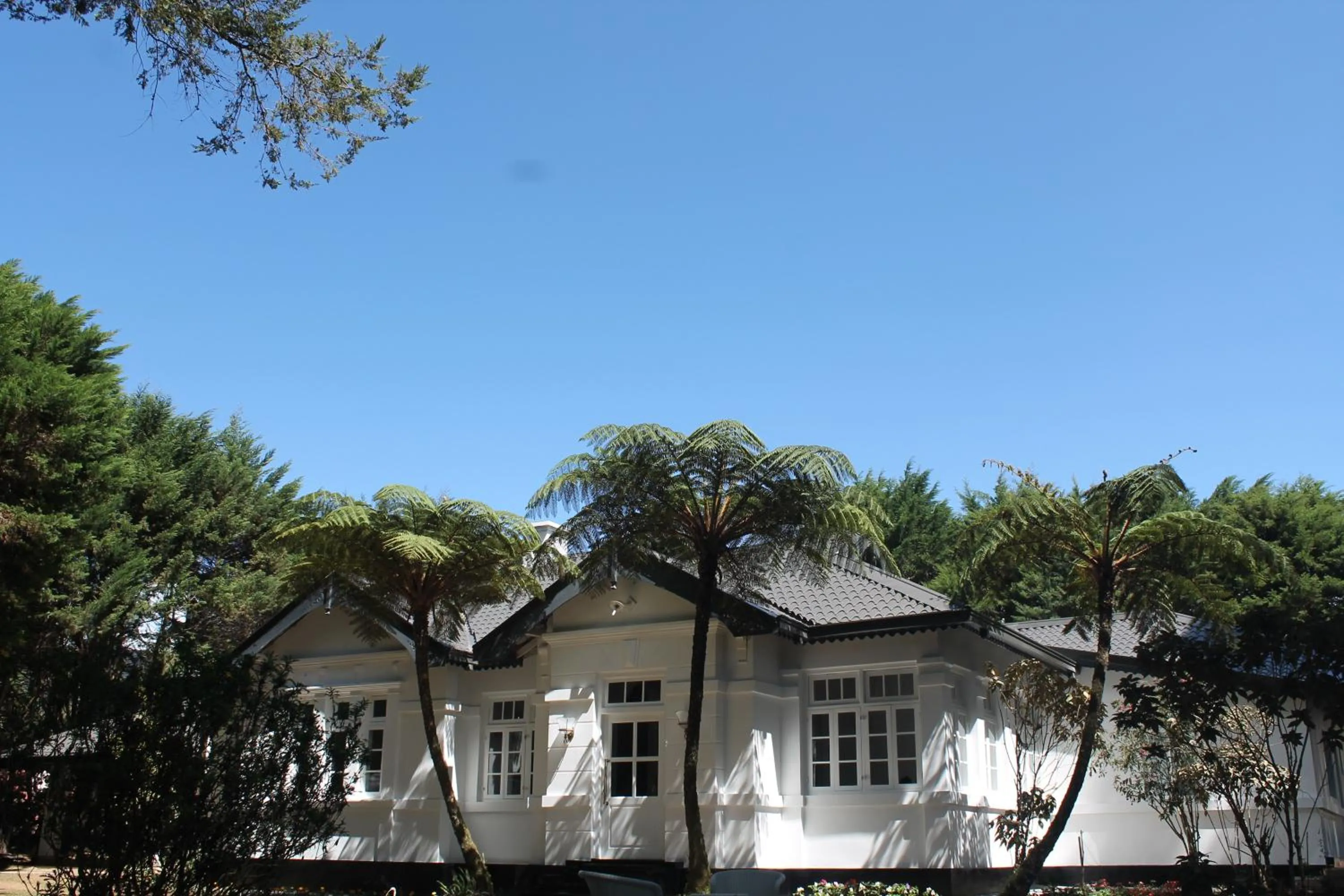 Property building in Mirage Kings Cottage