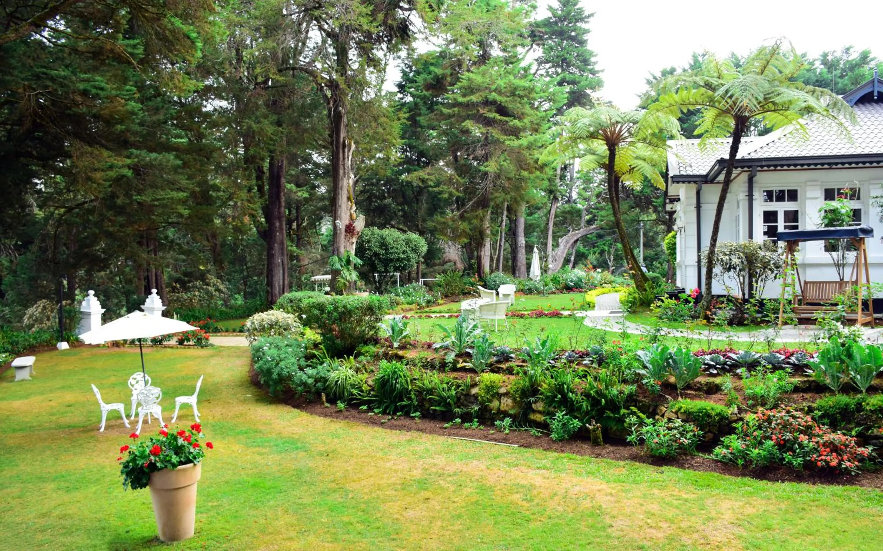 Garden in Mirage Kings Cottage