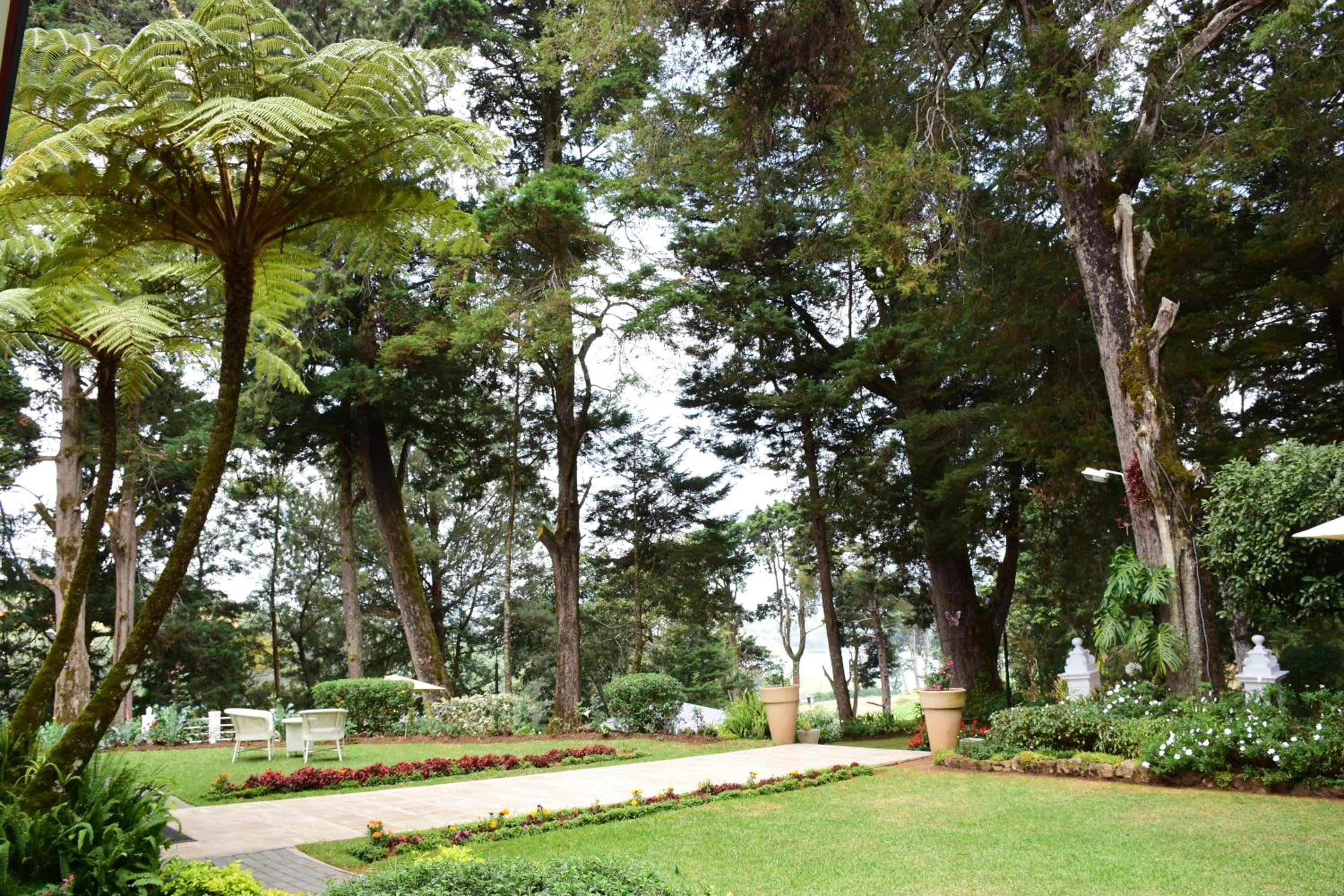 Garden in Mirage Kings Cottage