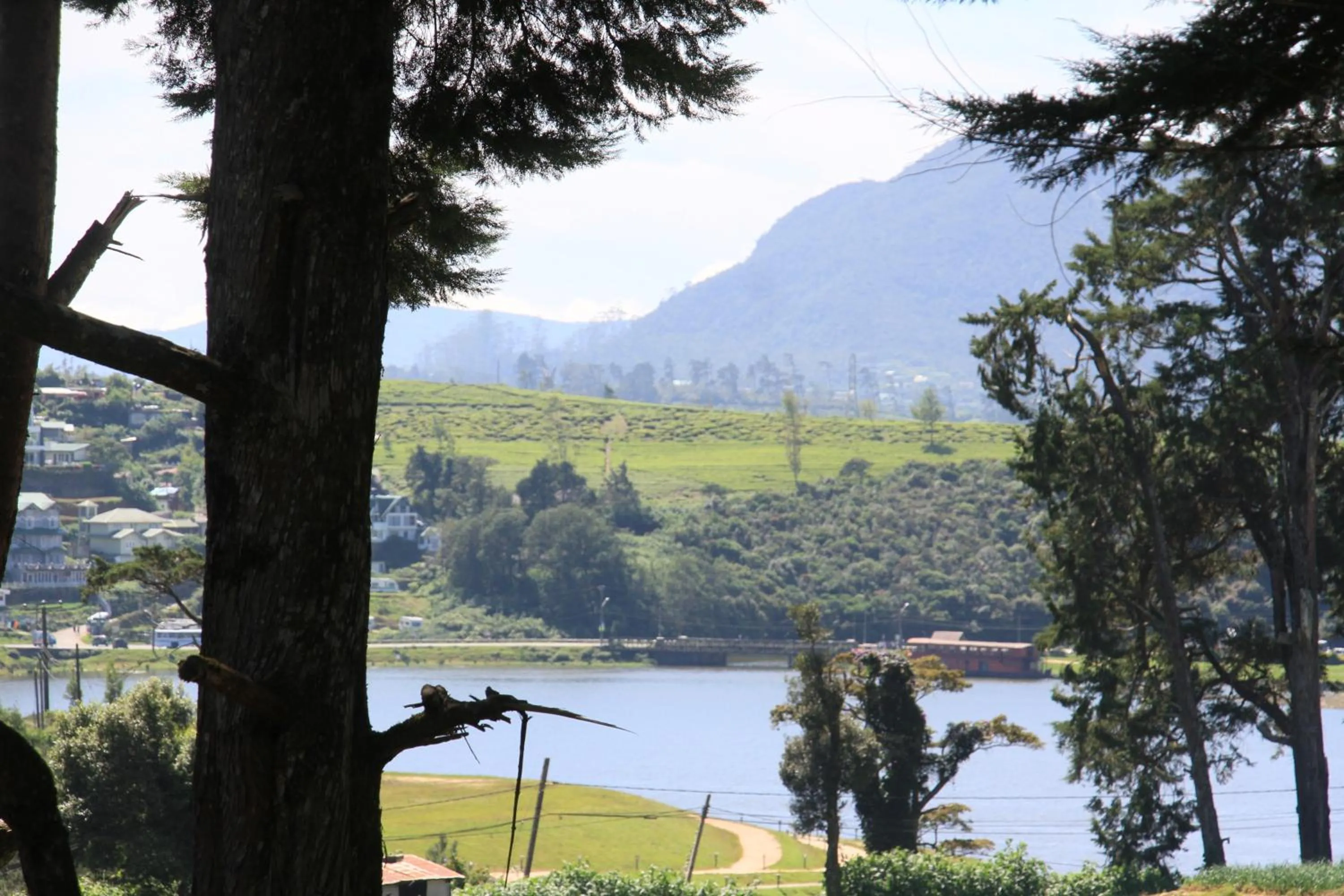 Lake view in Mirage Kings Cottage