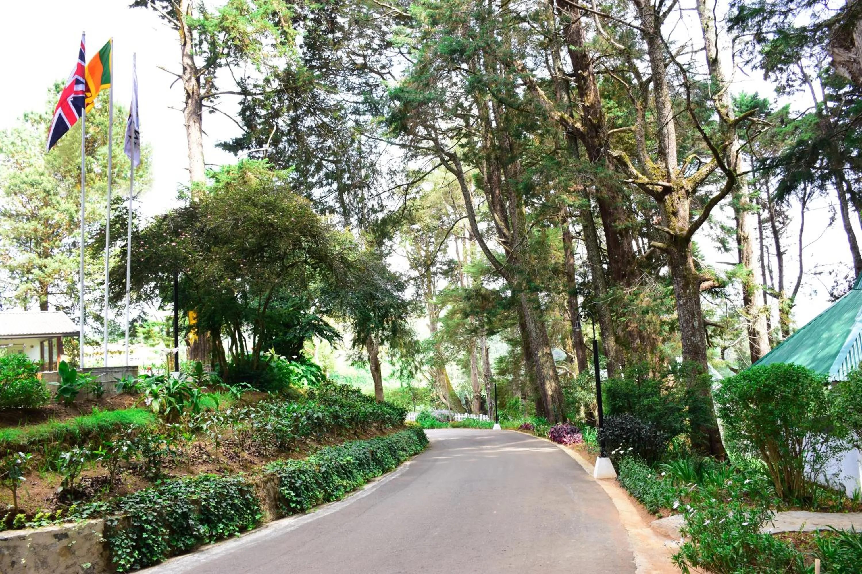 Garden in Mirage Kings Cottage