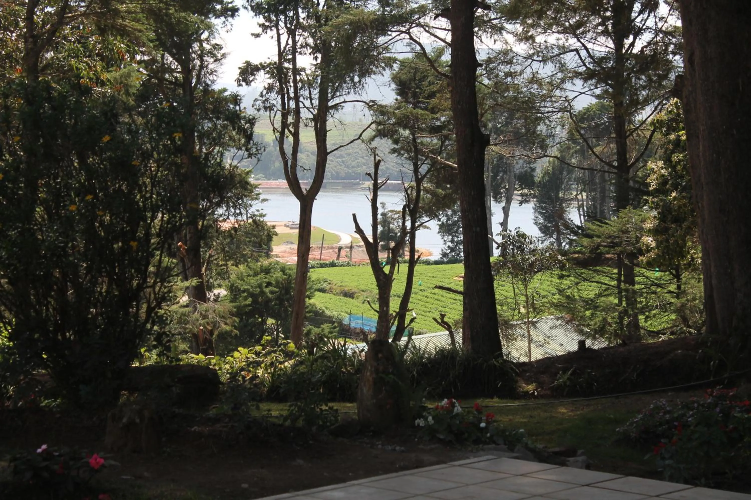 Natural landscape in Mirage Kings Cottage