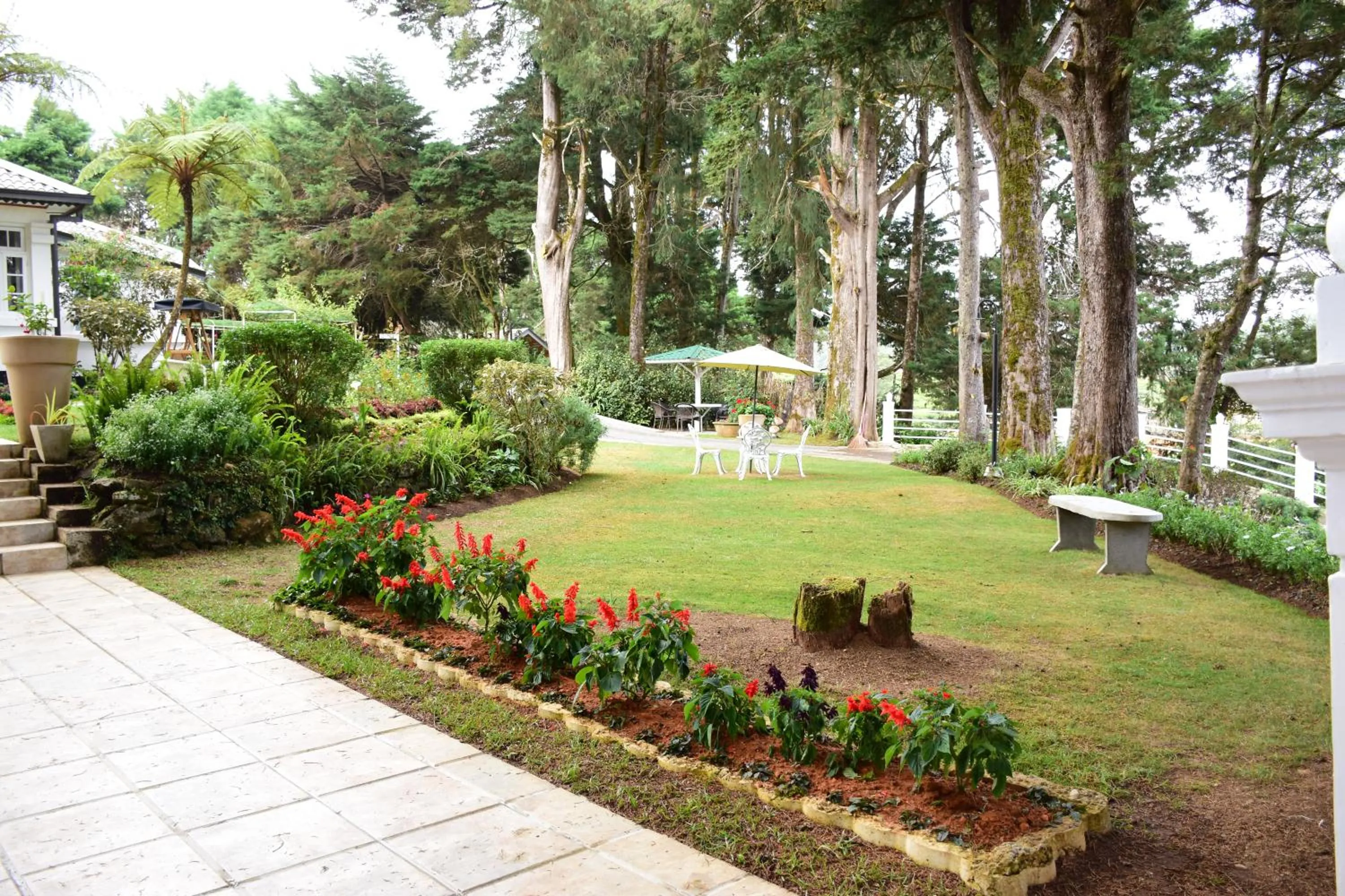 Garden in Mirage Kings Cottage